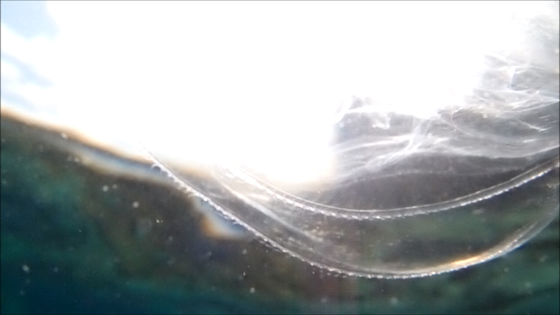 2022-04-14 Am Strand und im Wasser (Quallenvideo, Stills & Numbers) (Typo Grafik, Video)