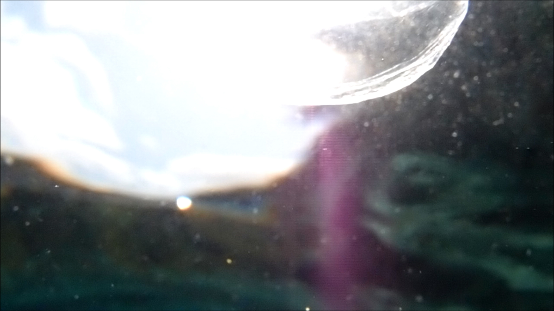 2022-04-14 Am Strand und im Wasser (Quallenvideo, Stills & Numbers) (Typo Grafik, Video)