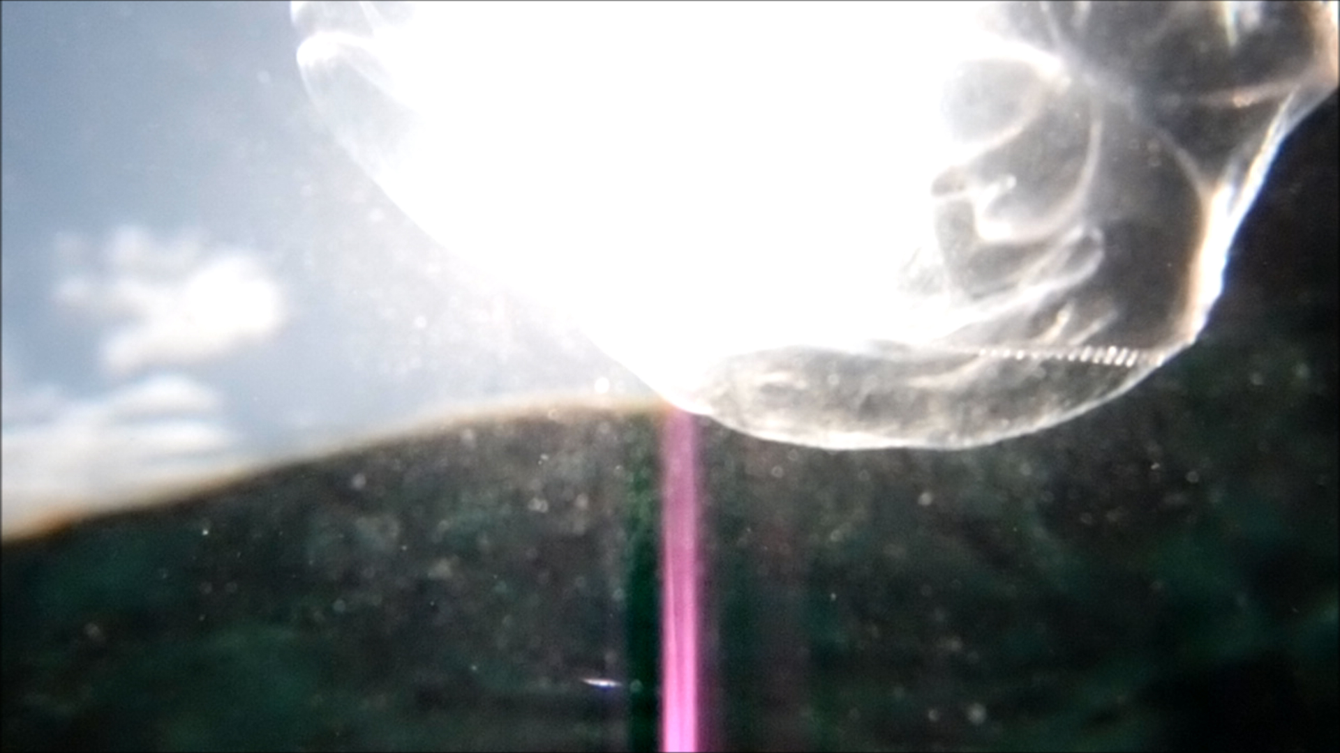 2022-04-14 Am Strand und im Wasser (Quallenvideo, Stills & Numbers) (Typo Grafik, Video)