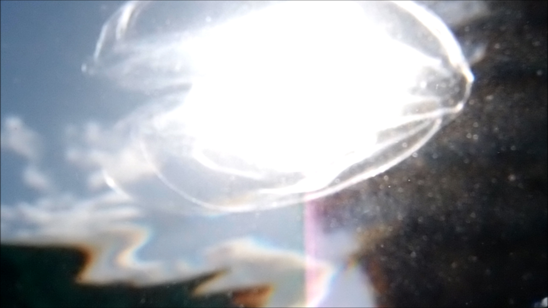 2022-04-14 Am Strand und im Wasser (Quallenvideo, Stills & Numbers) (Typo Grafik, Video)