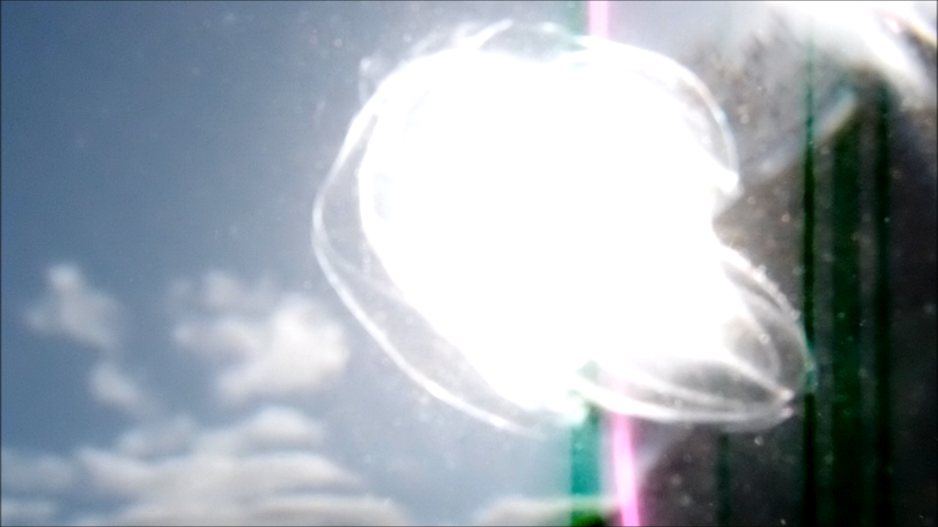 2022-04-14 Am Strand und im Wasser (Quallenvideo, Stills & Numbers) (Typo Grafik, Video)