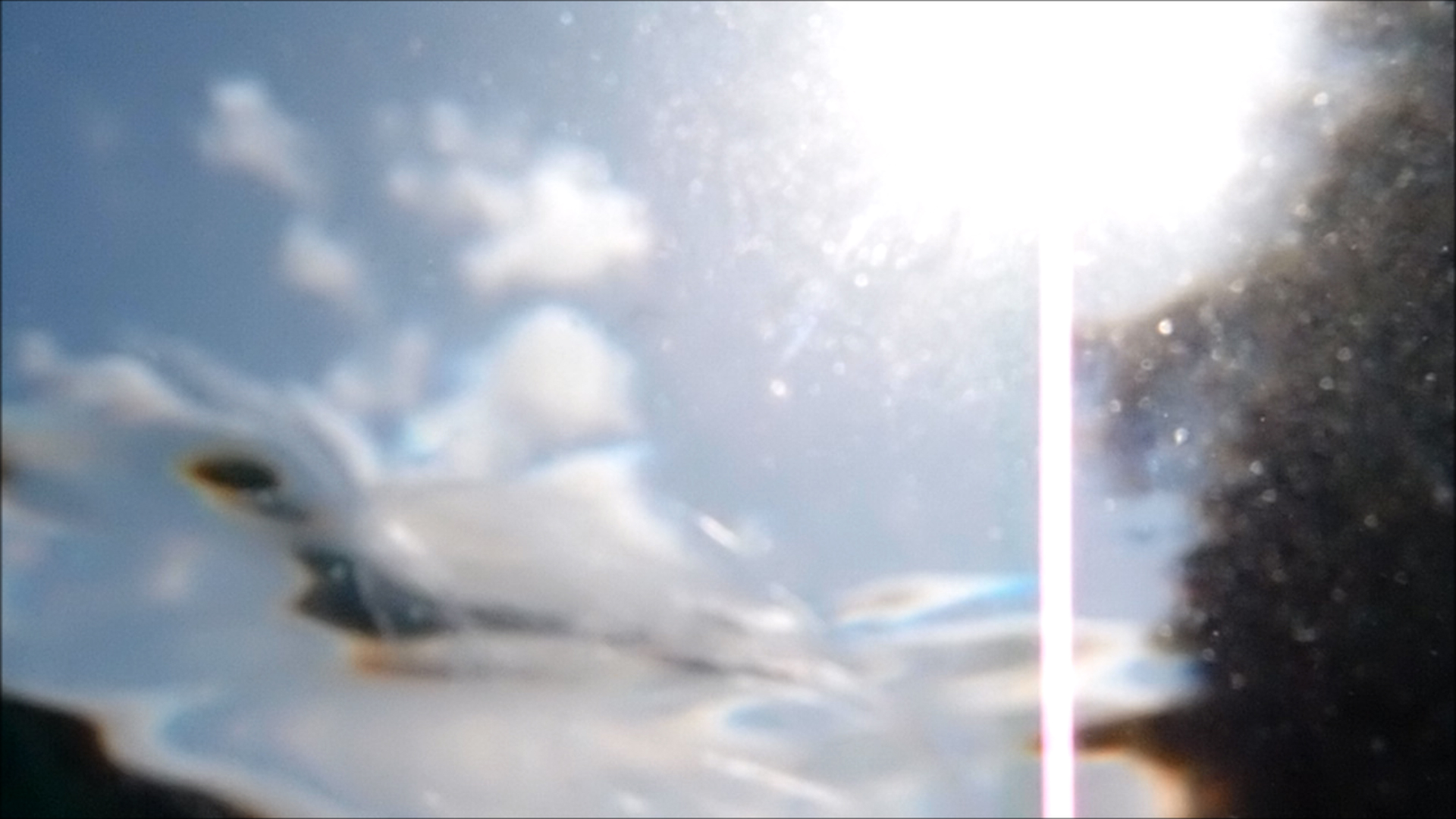 2022-04-14 Am Strand und im Wasser (Quallenvideo, Stills & Numbers) (Typo Grafik, Video)