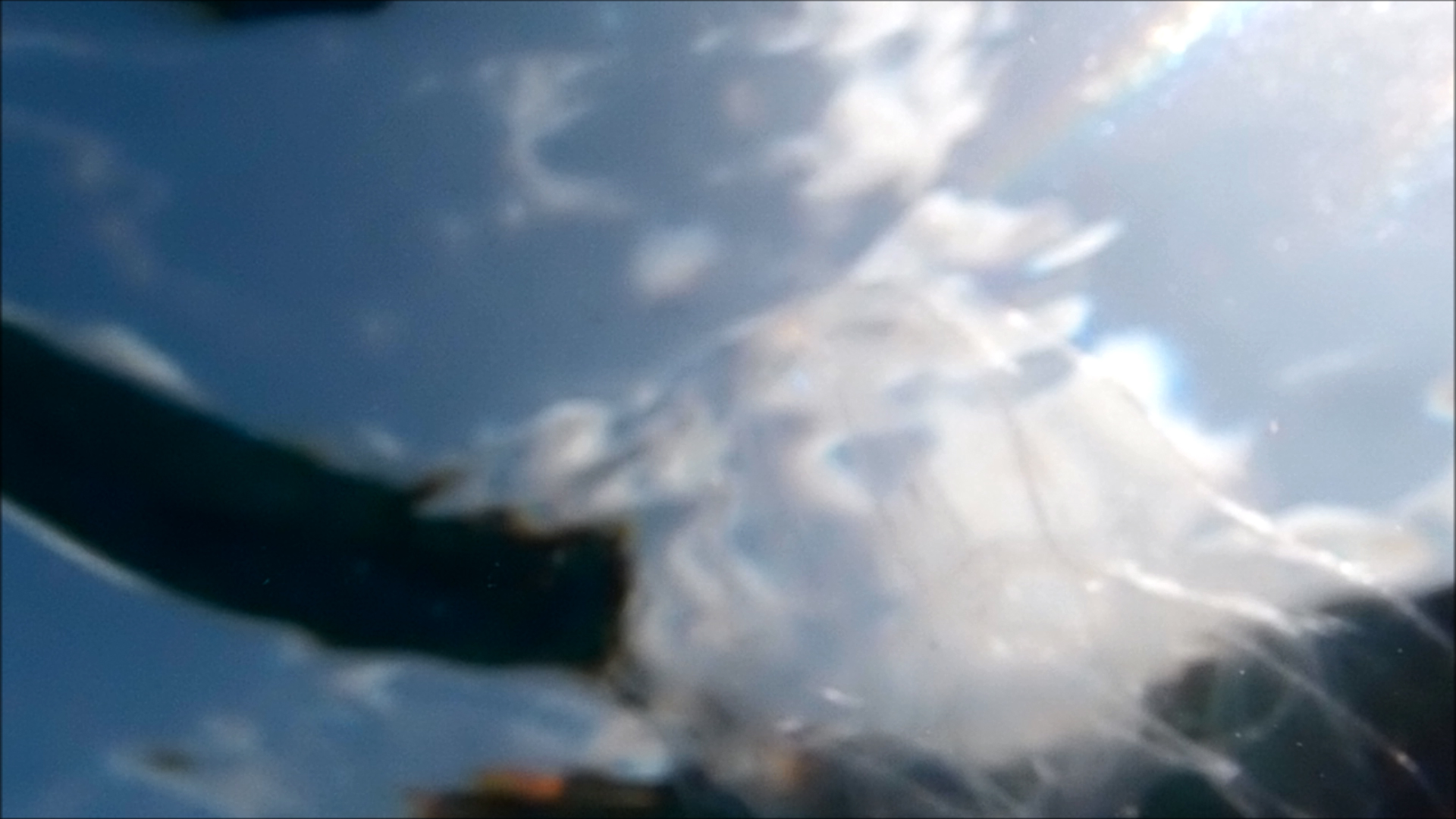 2022-04-14 Am Strand und im Wasser (Quallenvideo, Stills & Numbers) (Typo Grafik, Video)