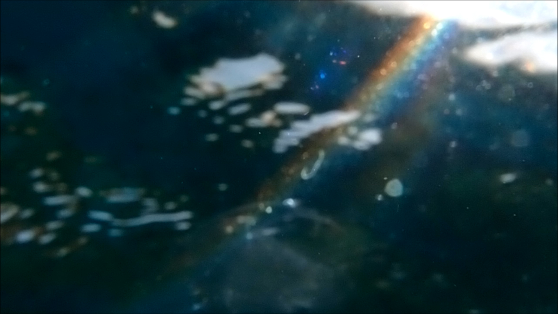 2022-04-14 Am Strand und im Wasser (Quallenvideo, Stills & Numbers) (Typo Grafik, Video)