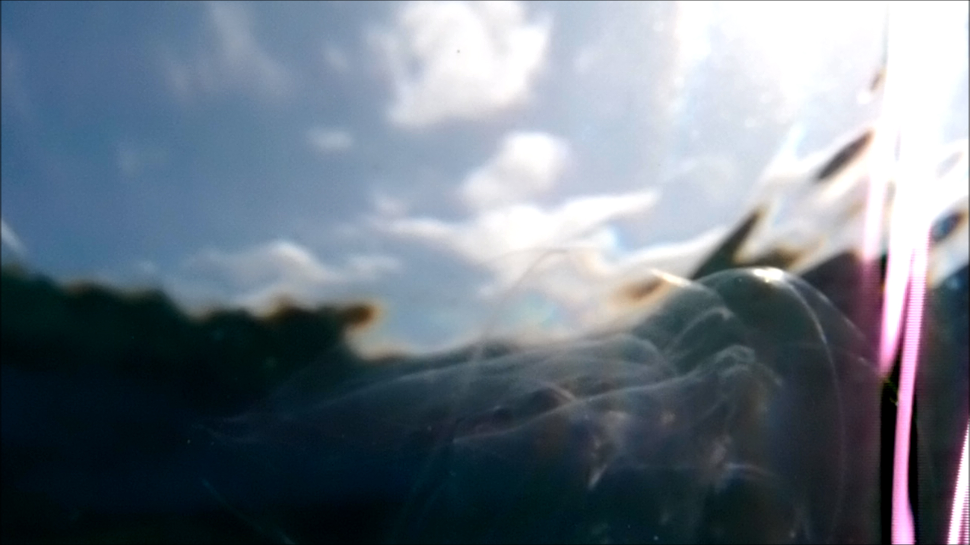 2022-04-14 Am Strand und im Wasser (Quallenvideo, Stills & Numbers) (Typo Grafik, Video)