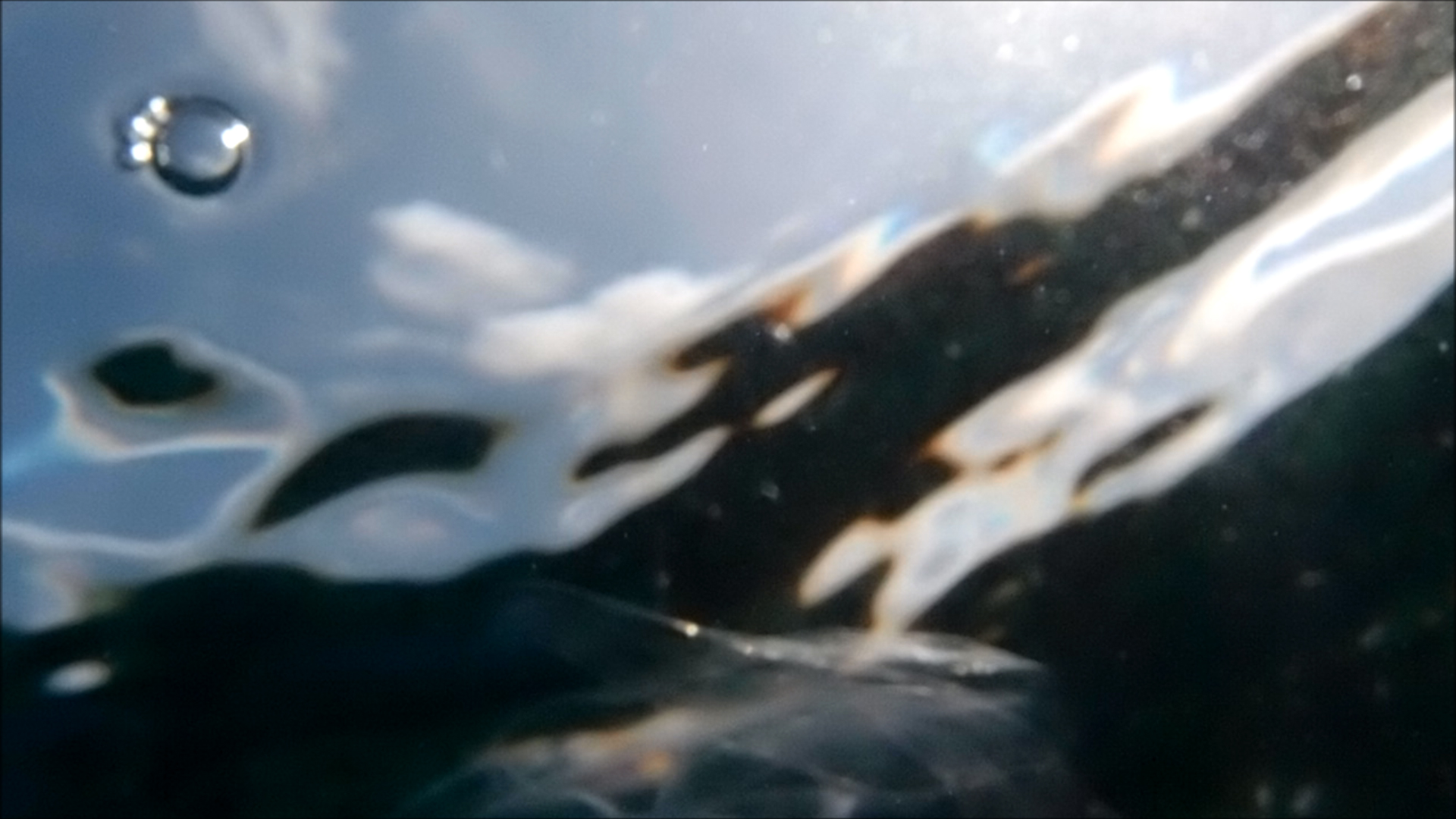 2022-04-14 Am Strand und im Wasser (Quallenvideo, Stills & Numbers) (Typo Grafik, Video)