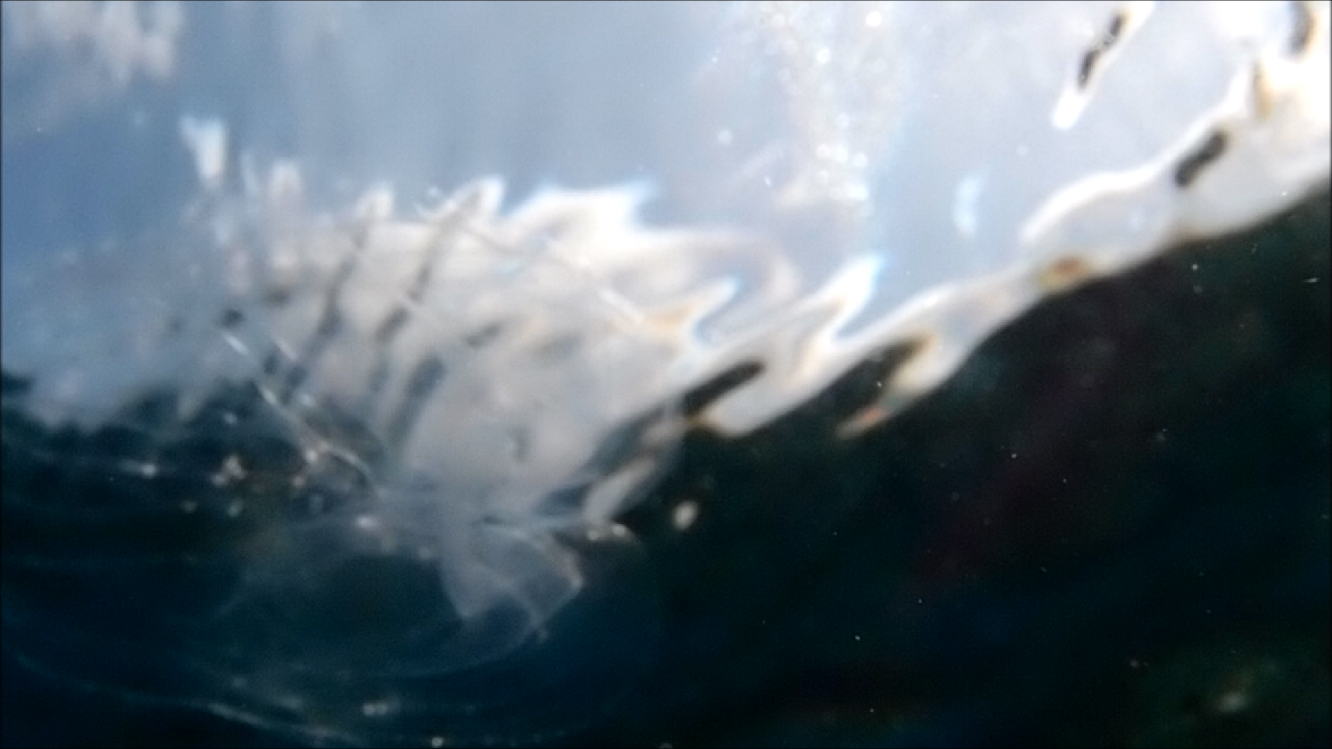 2022-04-14 Am Strand und im Wasser (Quallenvideo, Stills & Numbers) (Typo Grafik, Video)