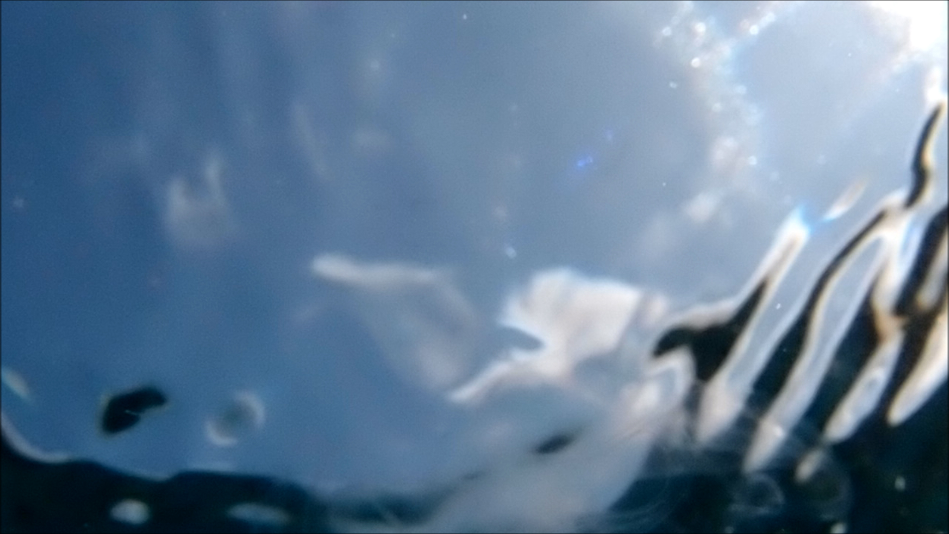 2022-04-14 Am Strand und im Wasser (Quallenvideo, Stills & Numbers) (Typo Grafik, Video)