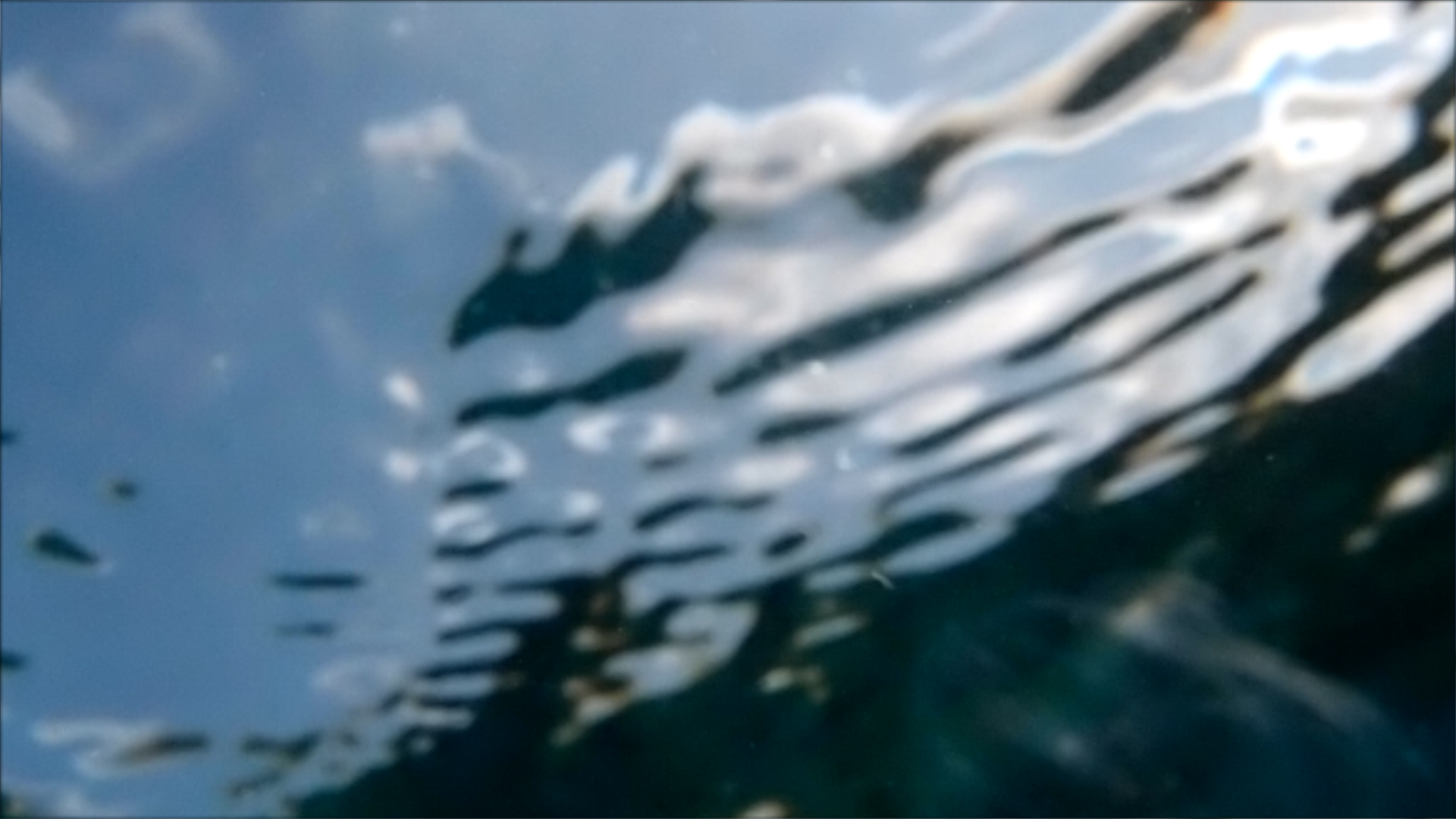 2022-04-14 Am Strand und im Wasser (Quallenvideo, Stills & Numbers) (Typo Grafik, Video)