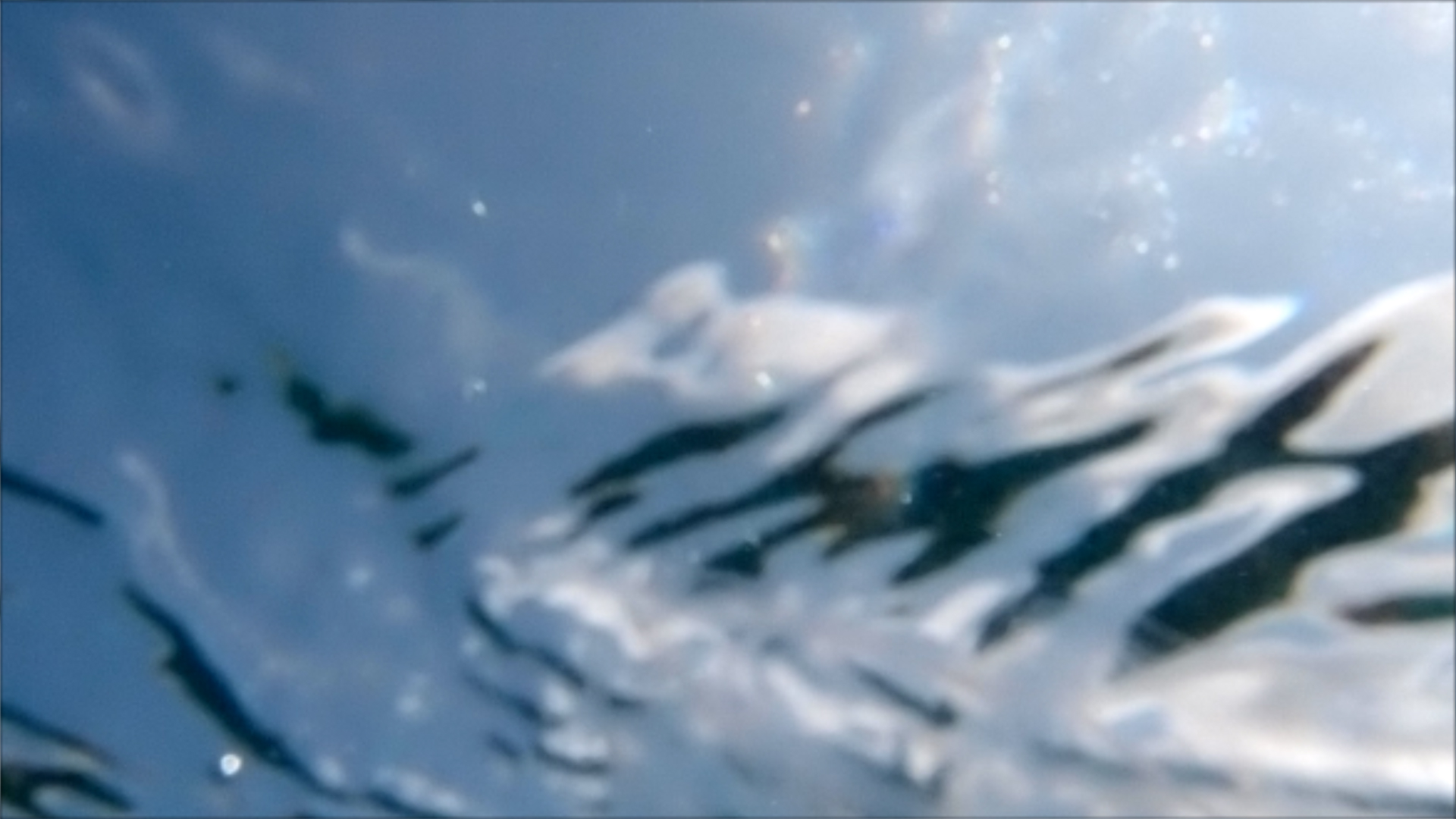 2022-04-14 Am Strand und im Wasser (Quallenvideo, Stills & Numbers) (Typo Grafik, Video)