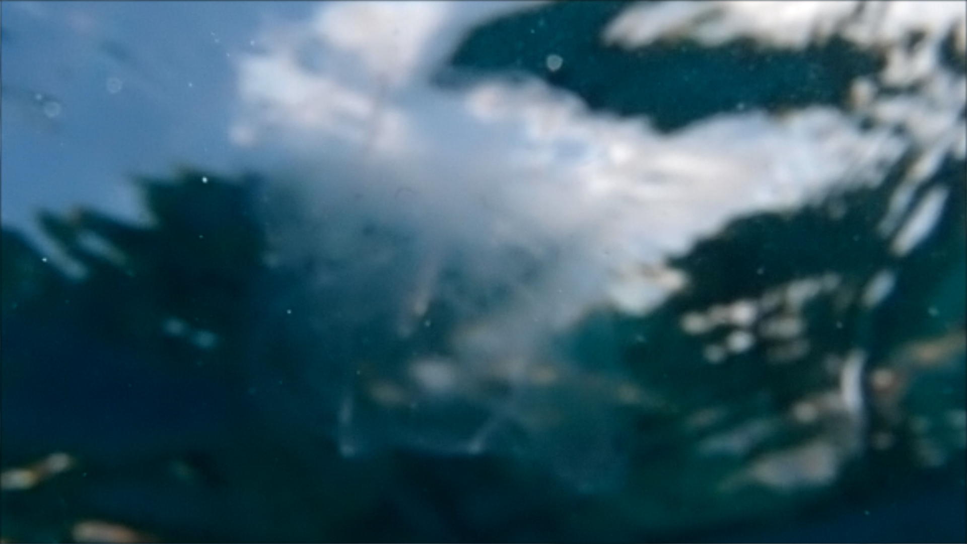 2022-04-14 Am Strand und im Wasser (Quallenvideo, Stills & Numbers) (Typo Grafik, Video)