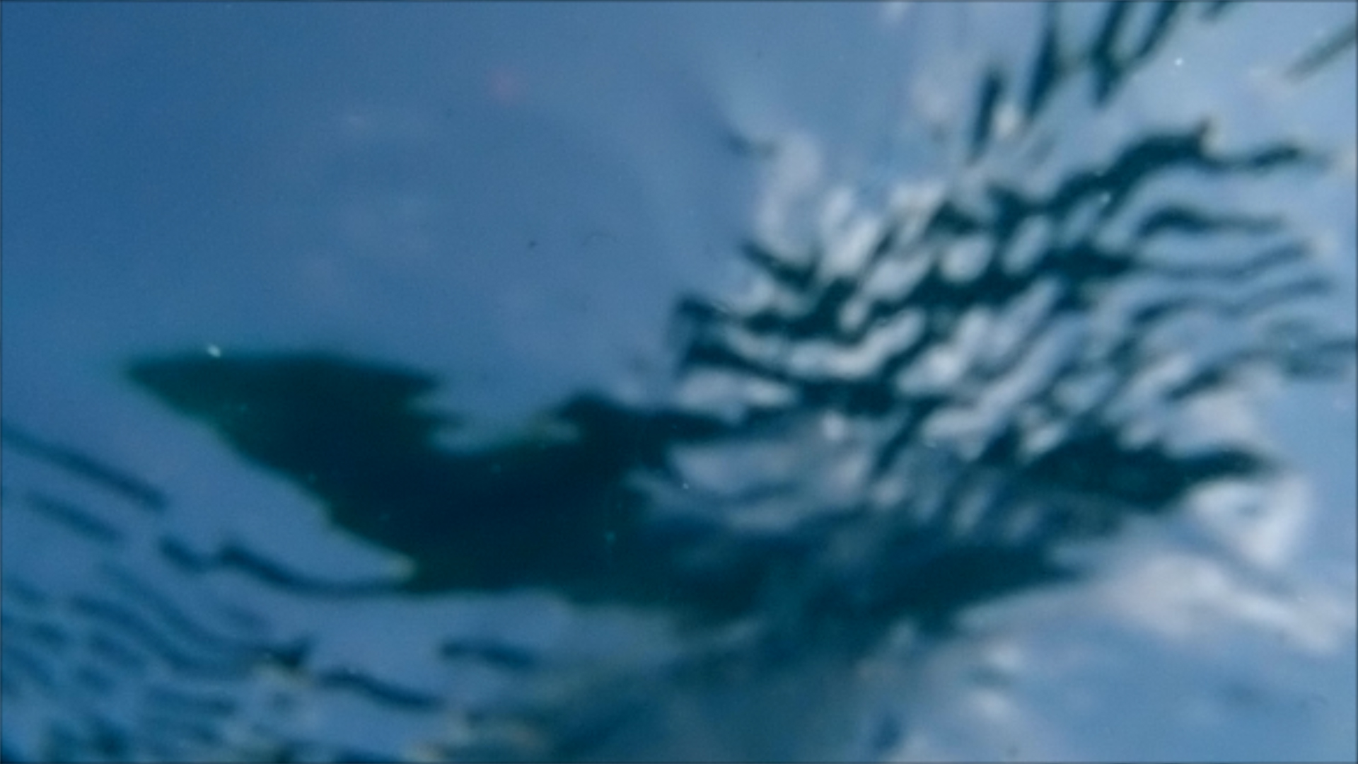 2022-04-14 Am Strand und im Wasser (Quallenvideo, Stills & Numbers) (Typo Grafik, Video)