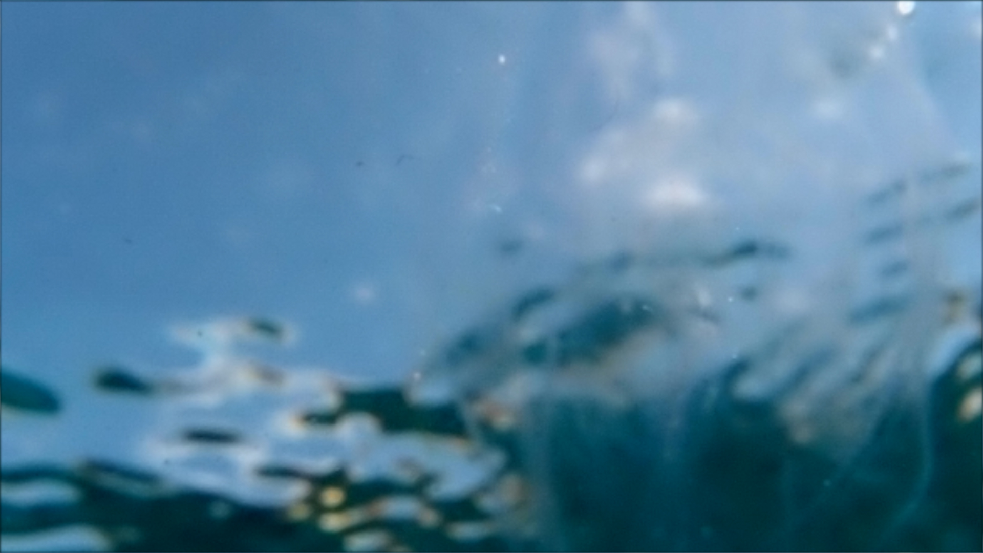 2022-04-14 Am Strand und im Wasser (Quallenvideo, Stills & Numbers) (Typo Grafik, Video)