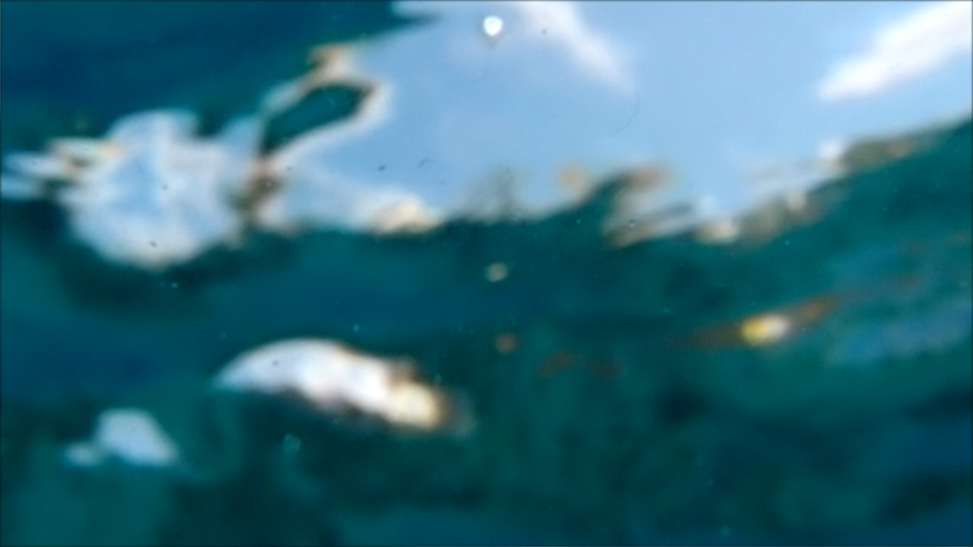 2022-04-14 Am Strand und im Wasser (Quallenvideo, Stills & Numbers) (Typo Grafik, Video)