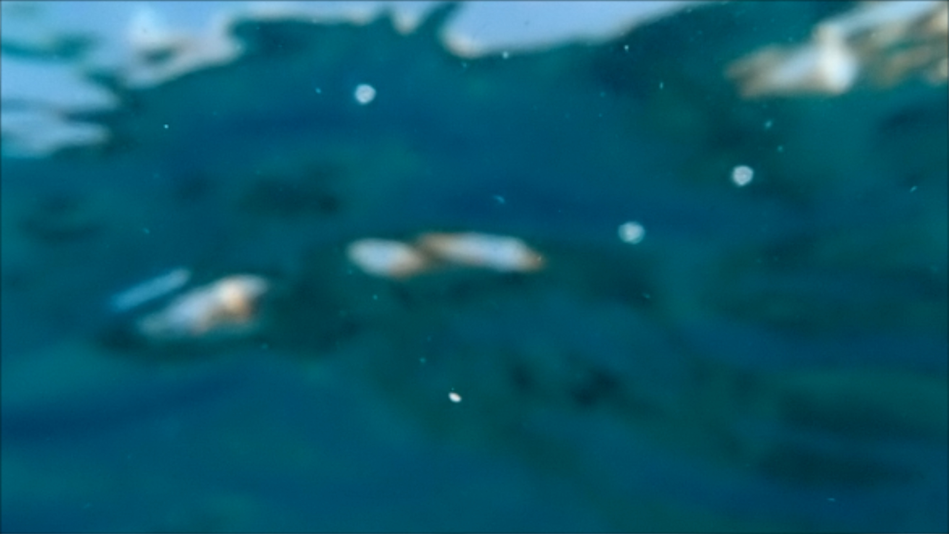 2022-04-14 Am Strand und im Wasser (Quallenvideo, Stills & Numbers) (Typo Grafik, Video)