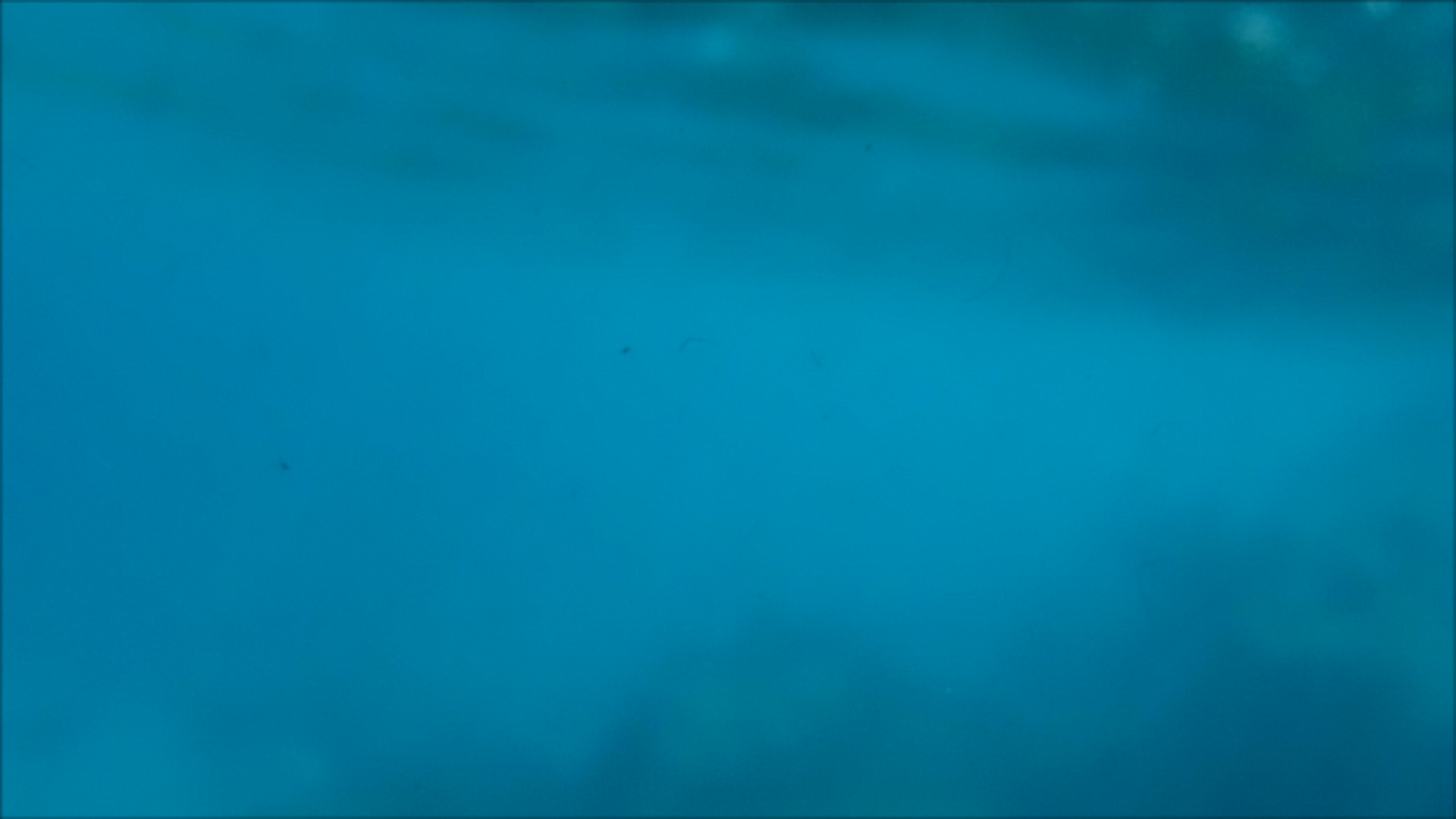 2022-04-14 Am Strand und im Wasser (Quallenvideo, Stills & Numbers) (Typo Grafik, Video)