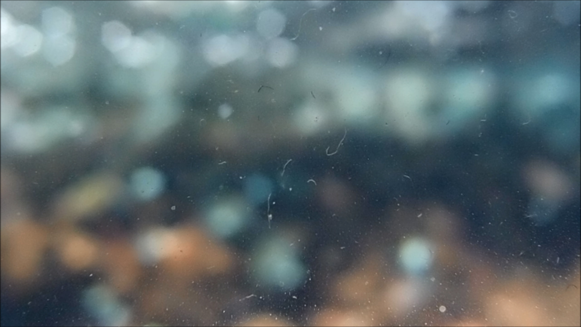 2022-04-14 Am Strand und im Wasser (Quallenvideo, Stills & Numbers) (Typo Grafik, Video)