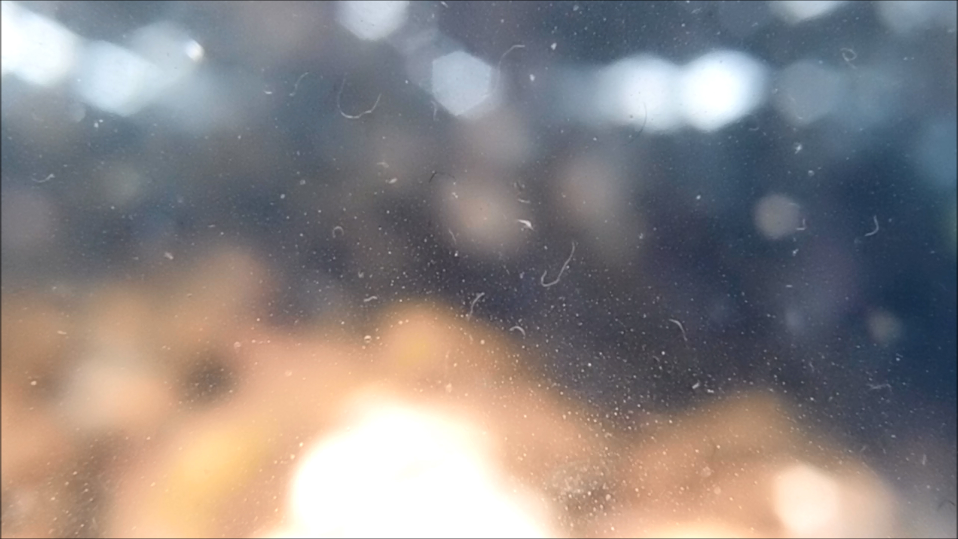 2022-04-14 Am Strand und im Wasser (Quallenvideo, Stills & Numbers) (Typo Grafik, Video)