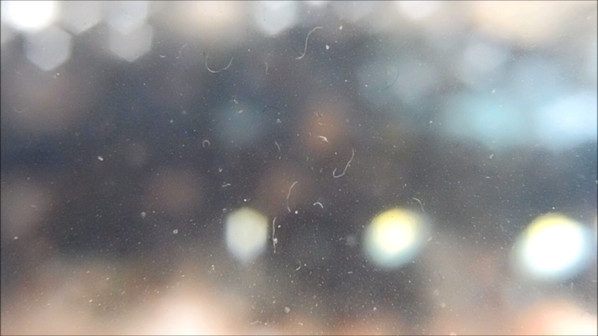 2022-04-14 Am Strand und im Wasser (Quallenvideo, Stills & Numbers) (Typo Grafik, Video)