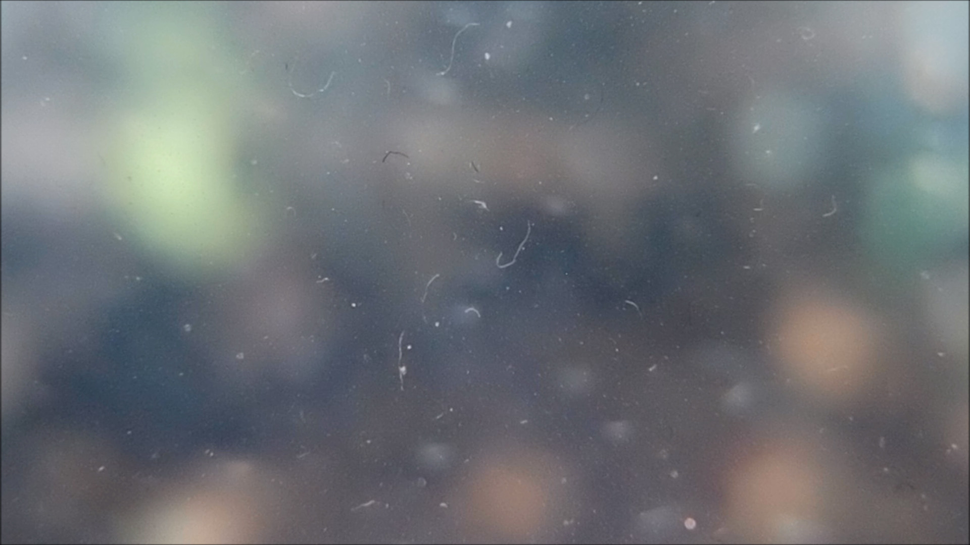 2022-04-14 Am Strand und im Wasser (Quallenvideo, Stills & Numbers) (Typo Grafik, Video)