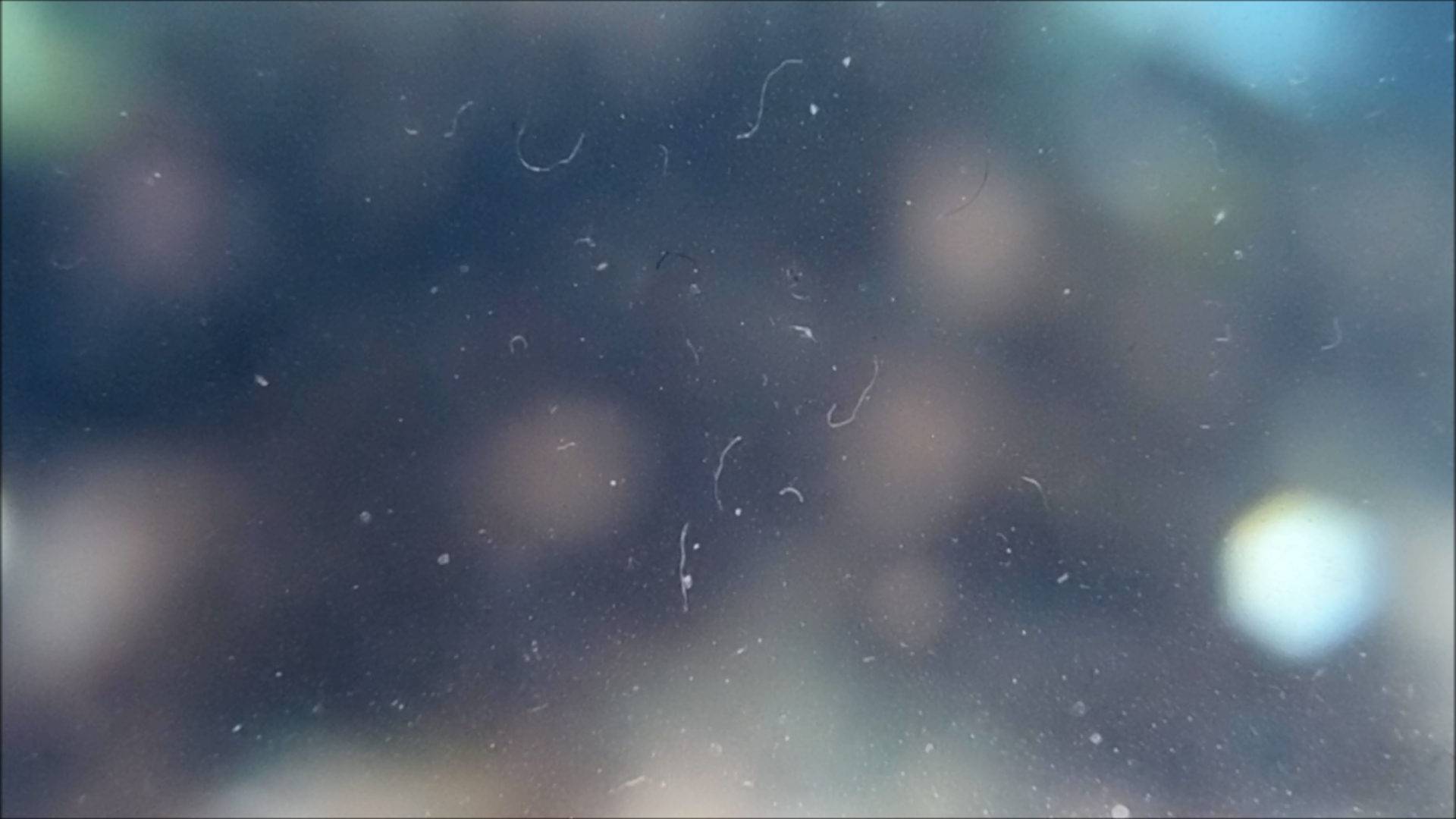 2022-04-14 Am Strand und im Wasser (Quallenvideo, Stills & Numbers) (Typo Grafik, Video)