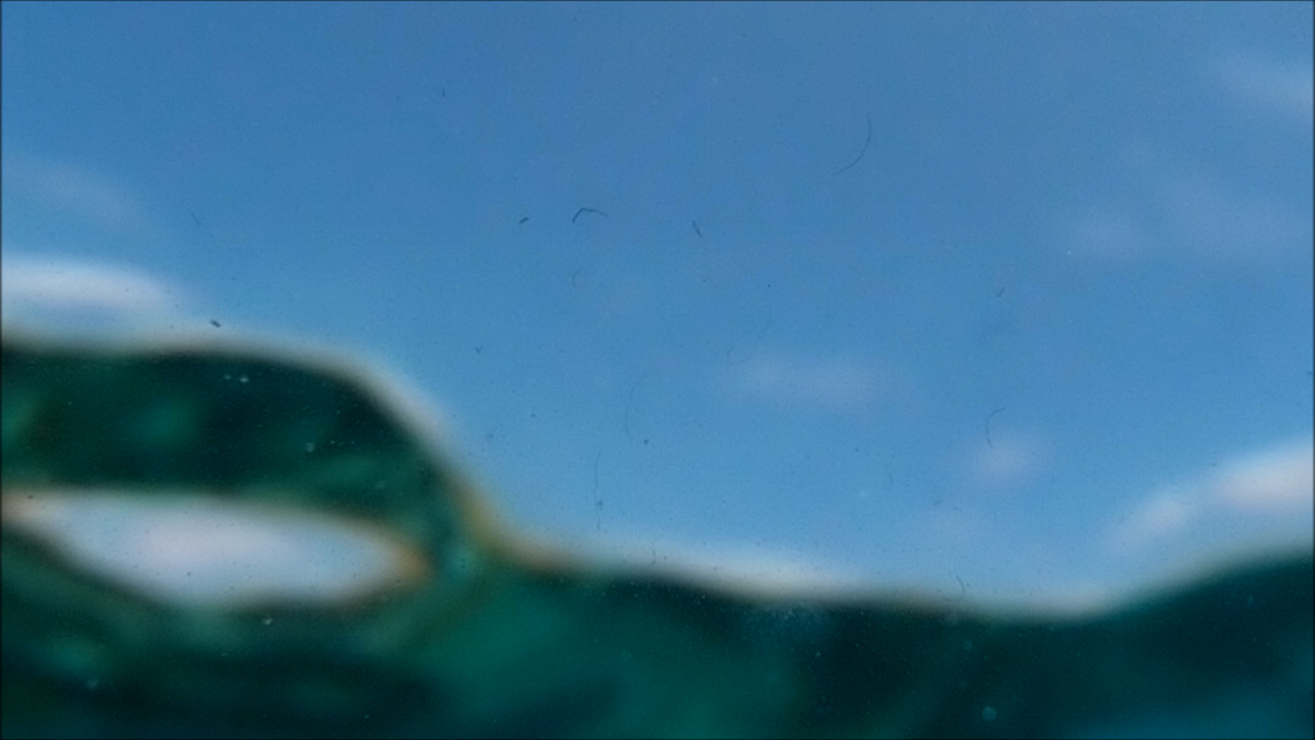 2022-04-14 Am Strand und im Wasser (Quallenvideo, Stills & Numbers) (Typo Grafik, Video)