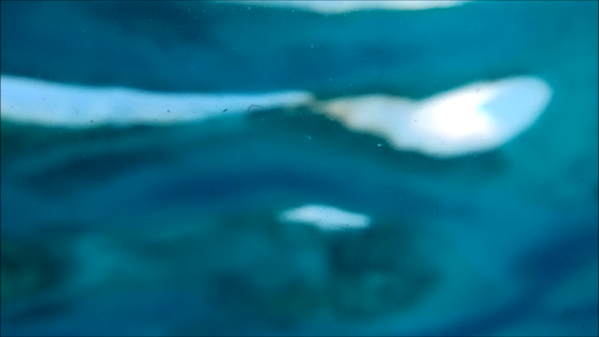 2022-04-14 Am Strand und im Wasser (Quallenvideo, Stills & Numbers) (Typo Grafik, Video)