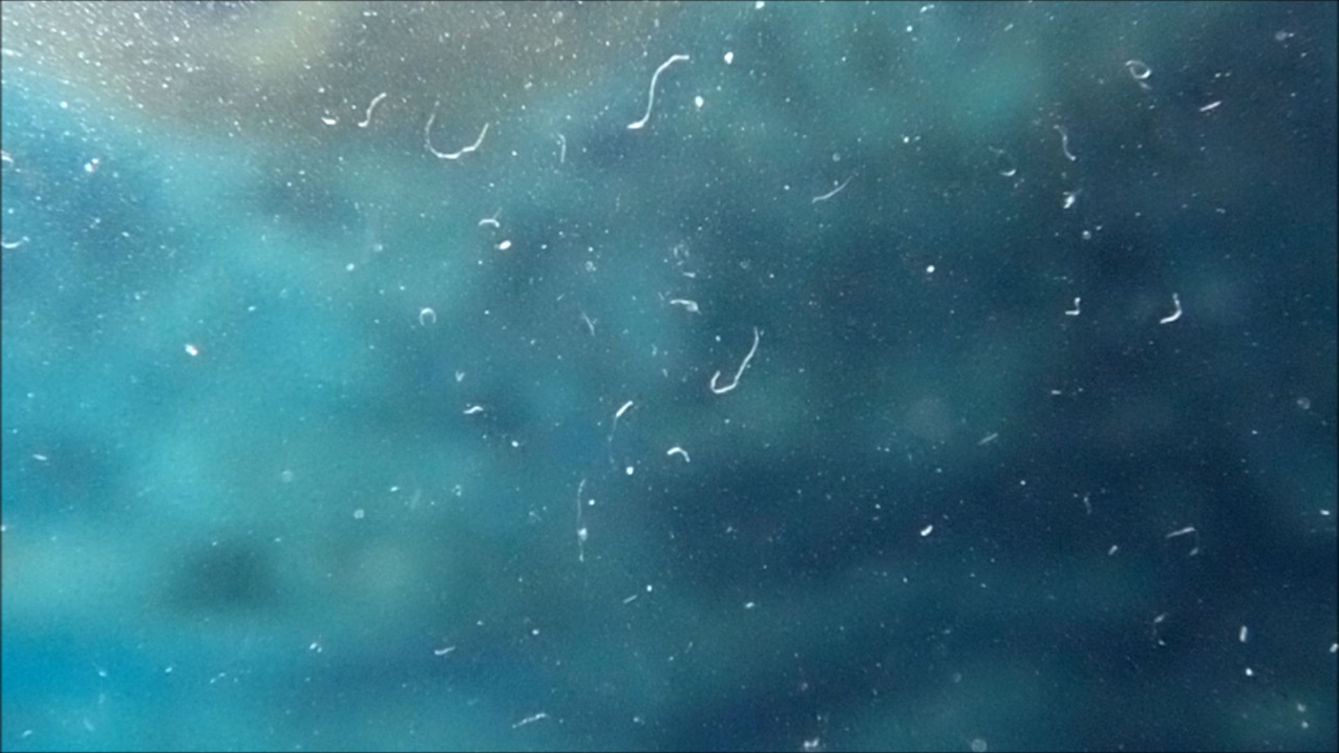 2022-04-14 Am Strand und im Wasser (Quallenvideo, Stills & Numbers) (Typo Grafik, Video)