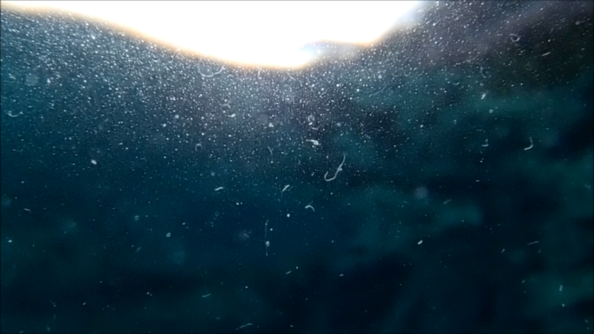 2022-04-14 Am Strand und im Wasser (Quallenvideo, Stills & Numbers) (Typo Grafik, Video)