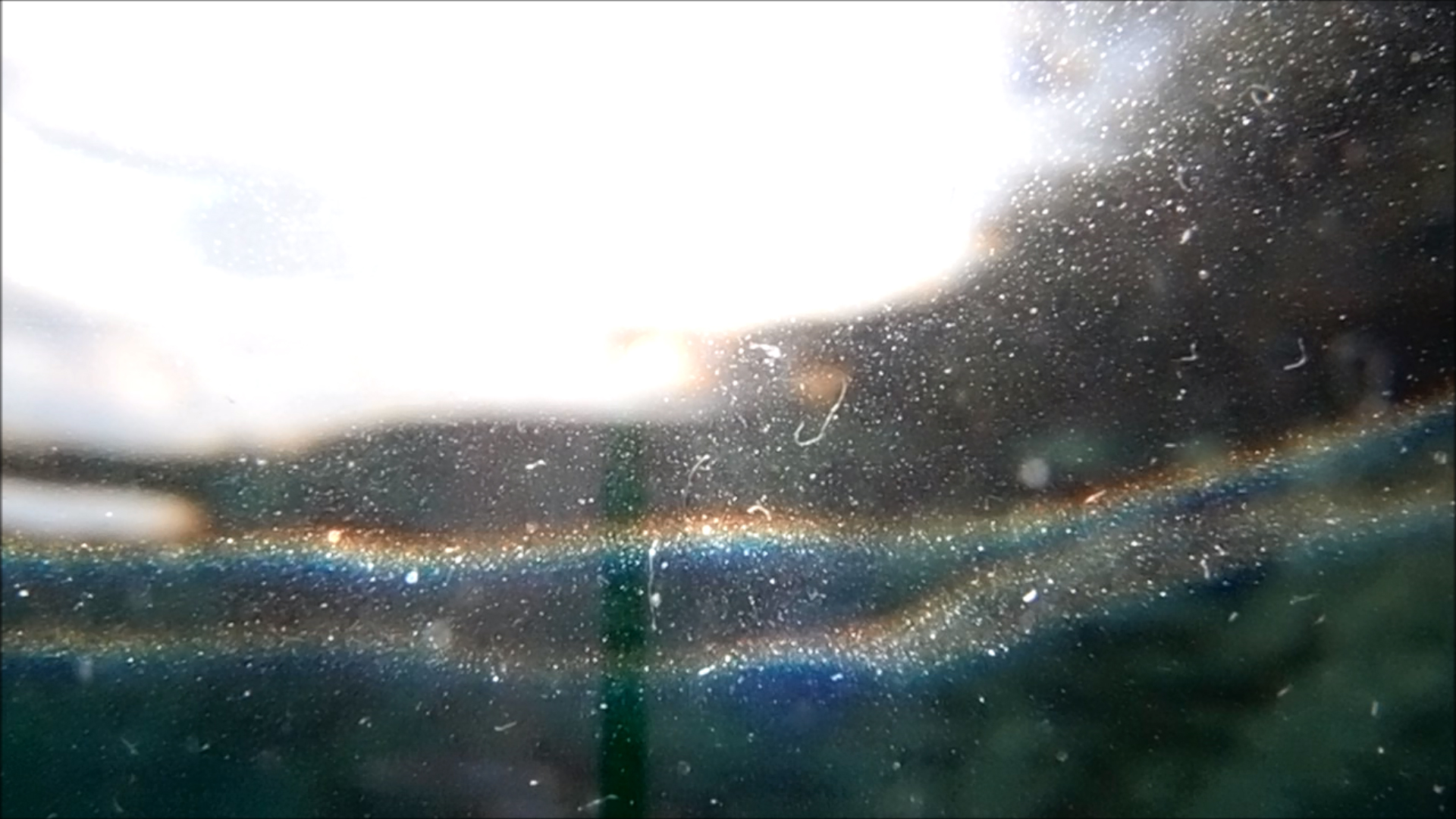 2022-04-14 Am Strand und im Wasser (Quallenvideo, Stills & Numbers) (Typo Grafik, Video)