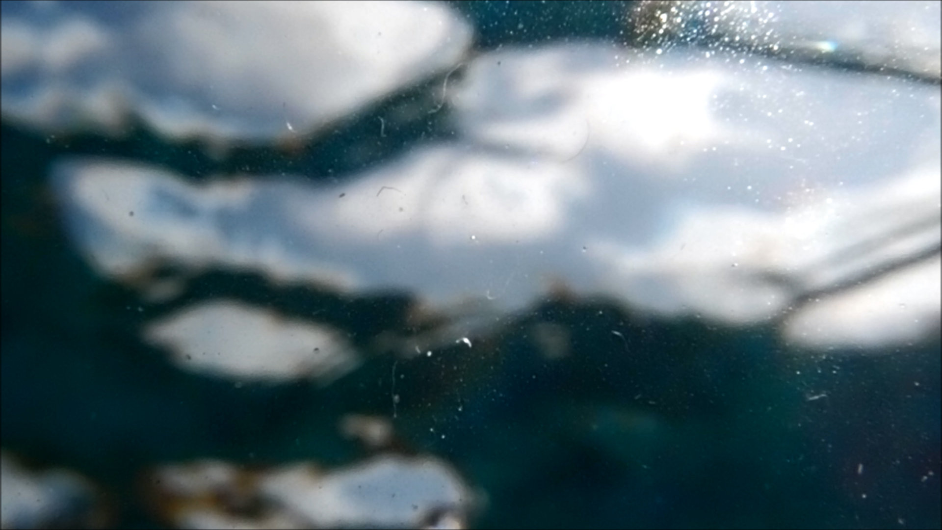 2022-04-14 Am Strand und im Wasser (Quallenvideo, Stills & Numbers) (Typo Grafik, Video)