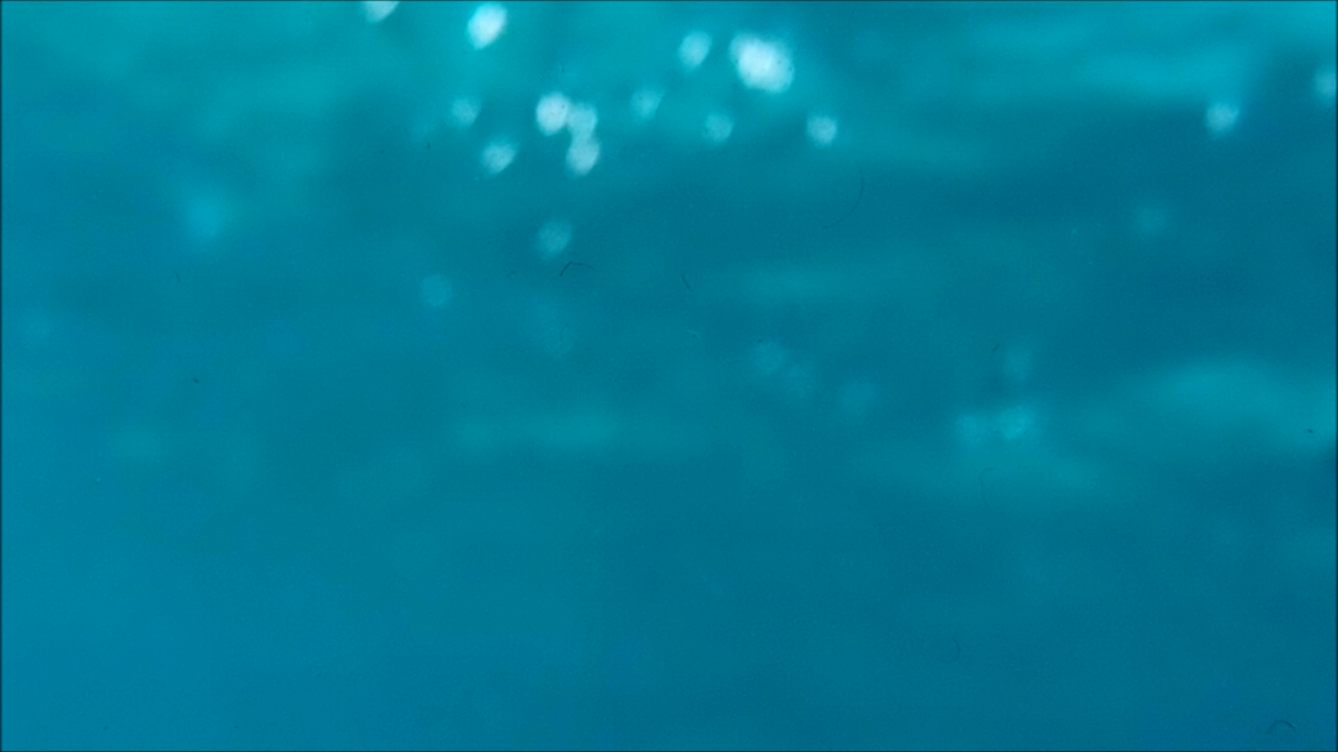 2022-04-14 Am Strand und im Wasser (Quallenvideo, Stills & Numbers) (Typo Grafik, Video)