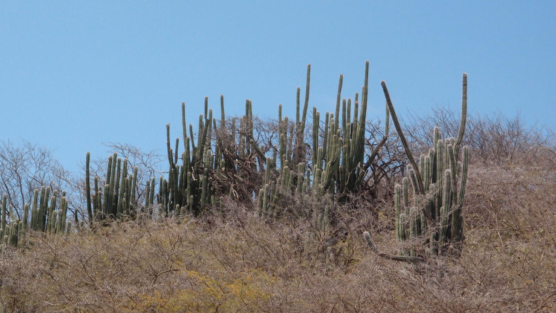 2022-04-14 Shete Boka Nationalpark (Foto)