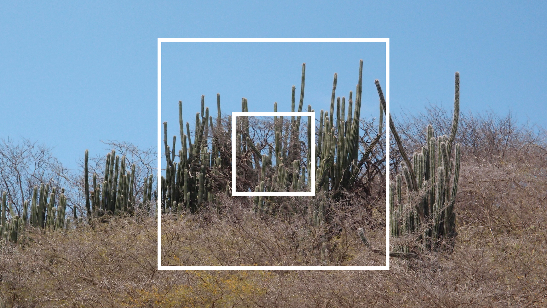 2022-04-14 Shete Boka Nationalpark (Foto)