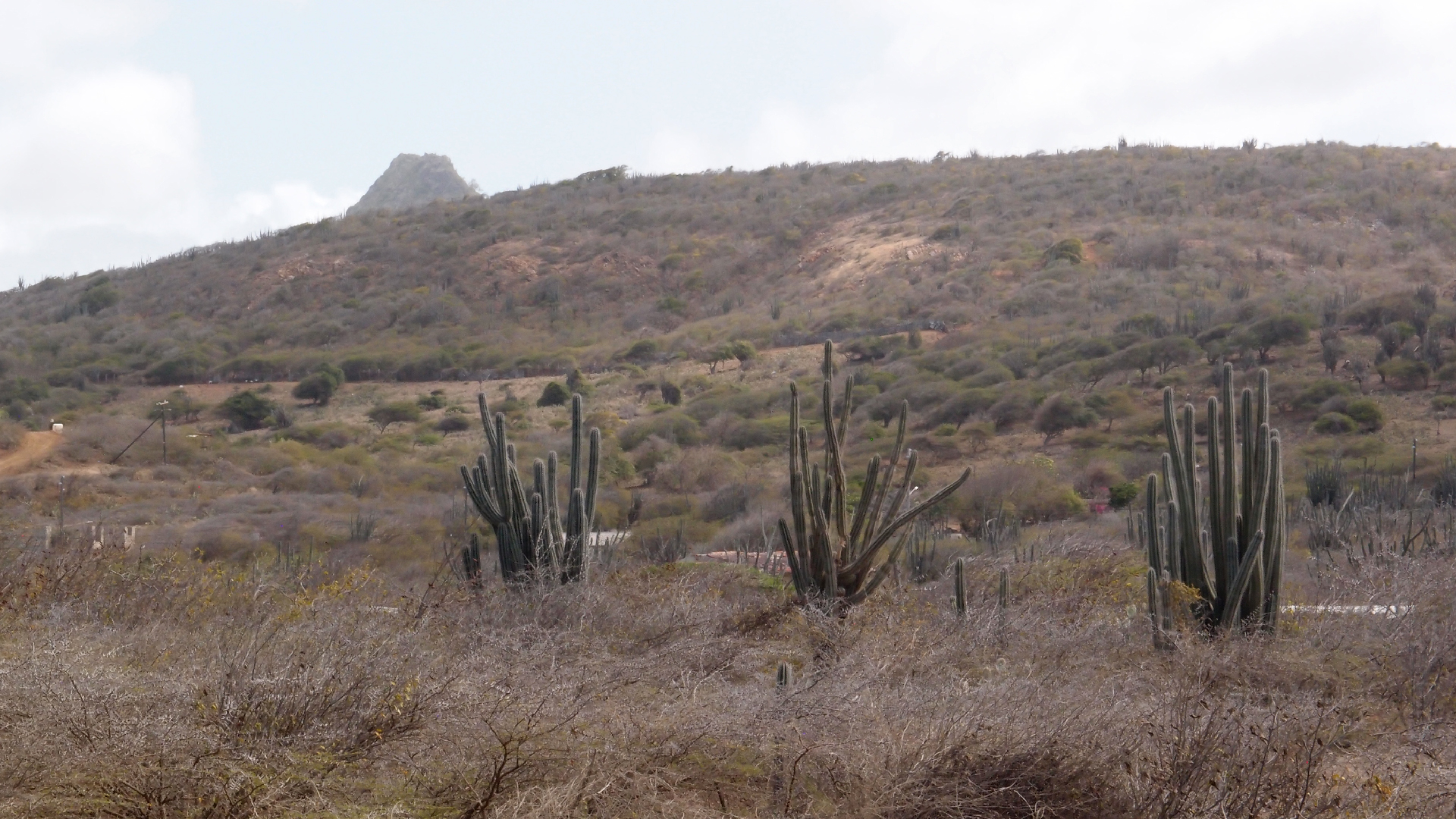 2022-04-14 Shete Boka Nationalpark (Foto)