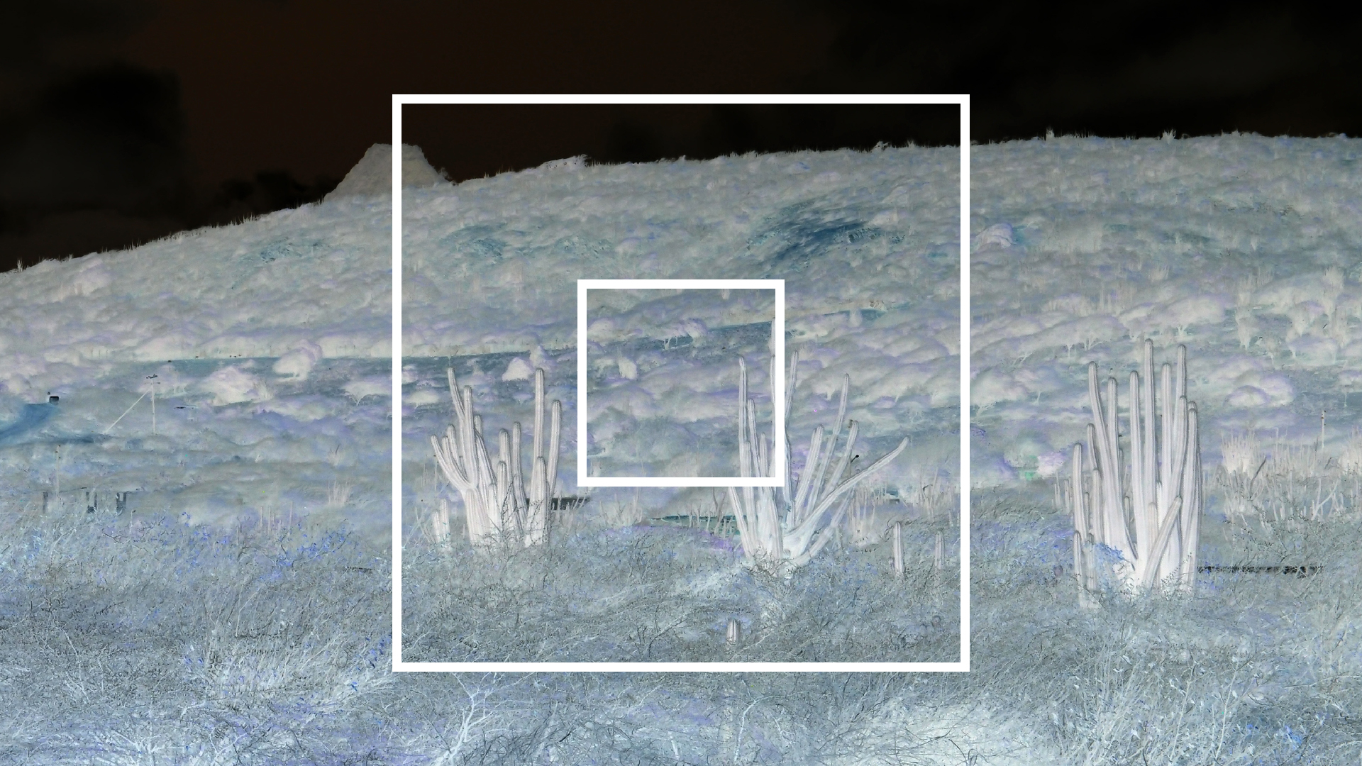 2022-04-14 Shete Boka Nationalpark (Foto)