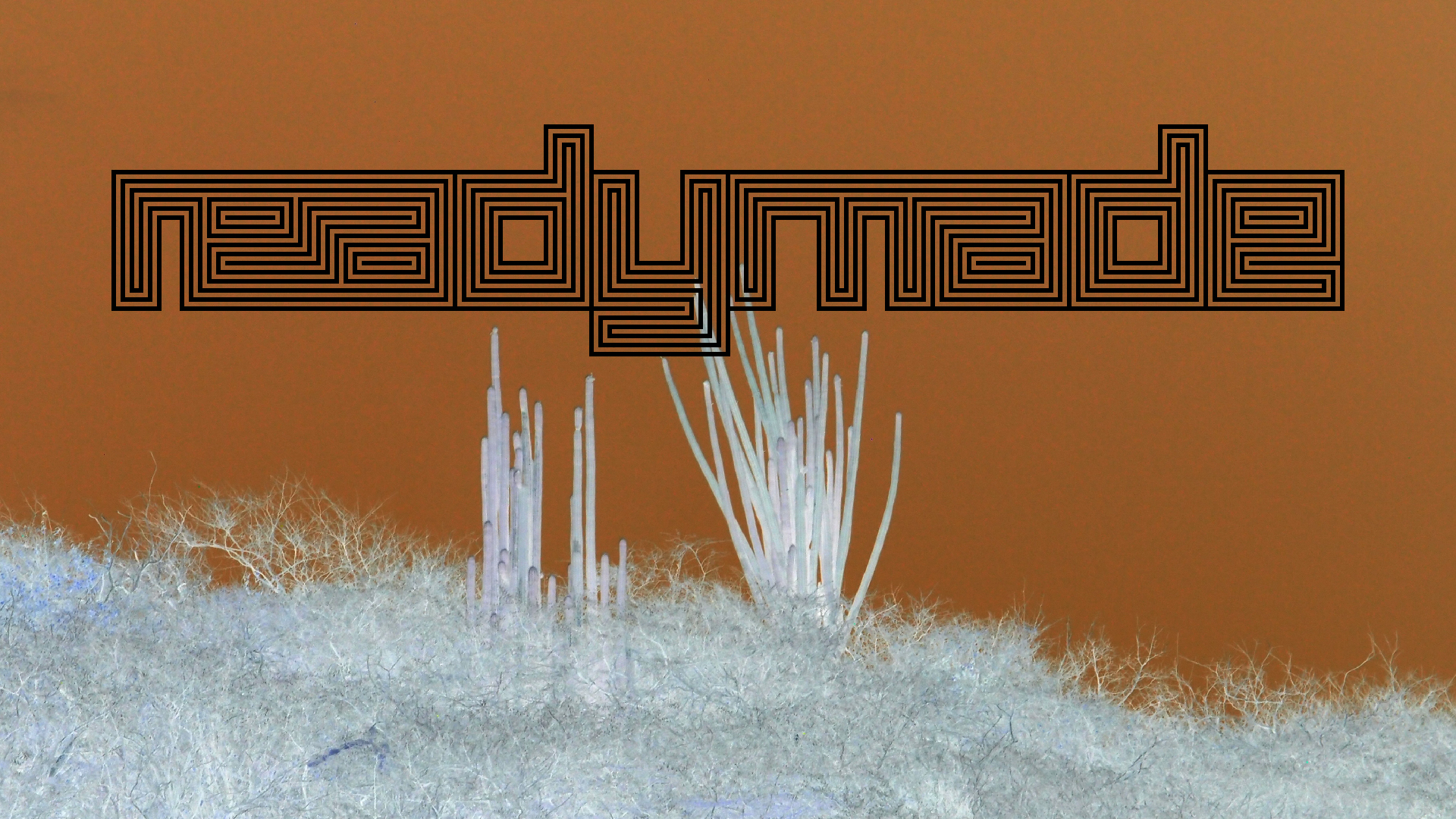 2022-04-14 Shete Boka Nationalpark (Foto)