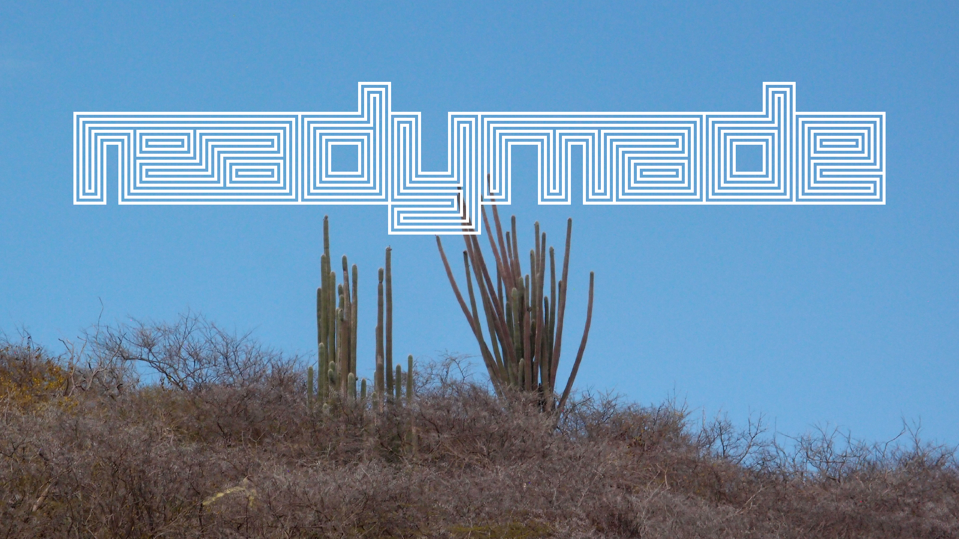 2022-04-14 Shete Boka Nationalpark (Foto)