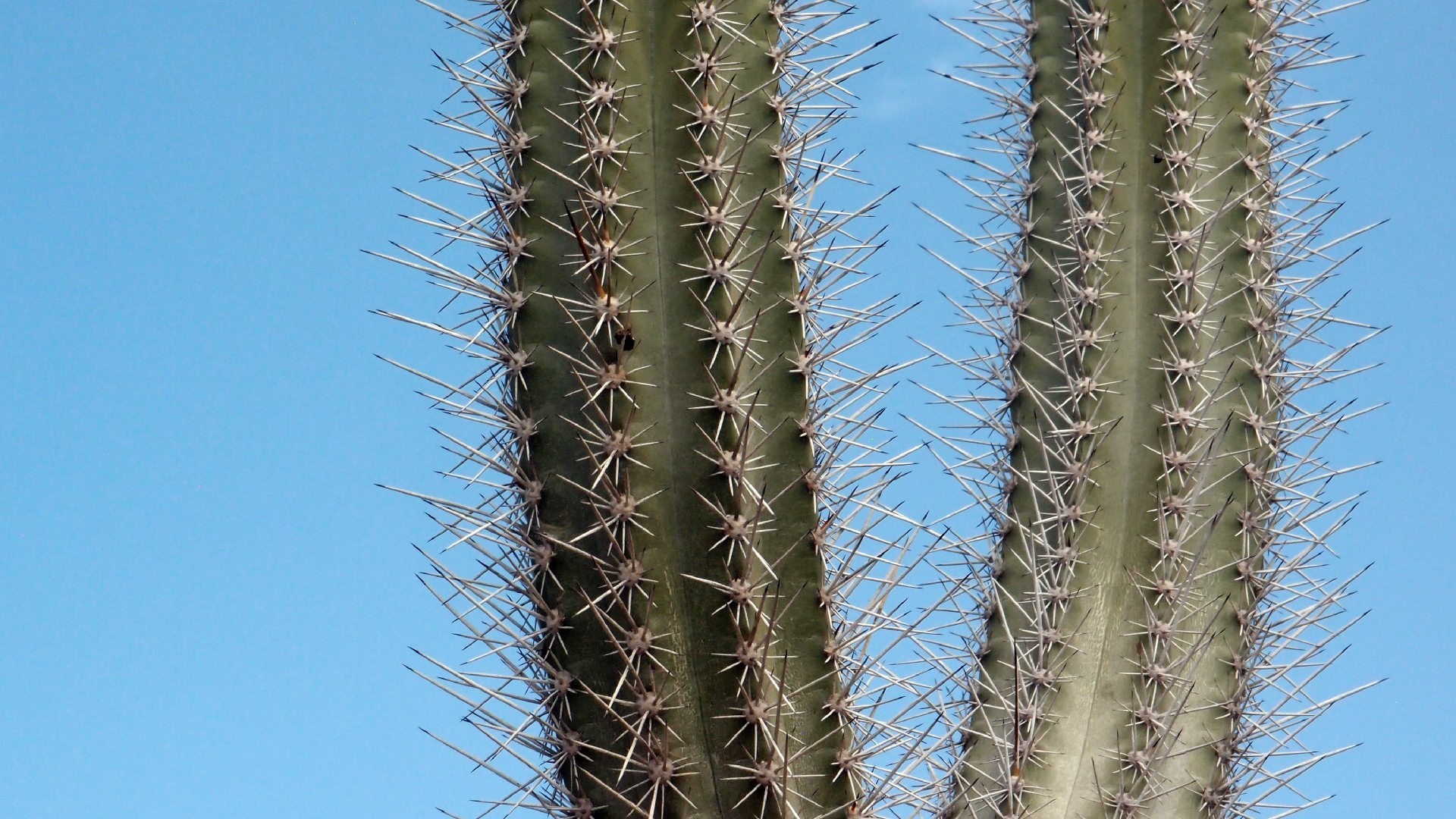 2022-04-14 Shete Boka Nationalpark (Foto)