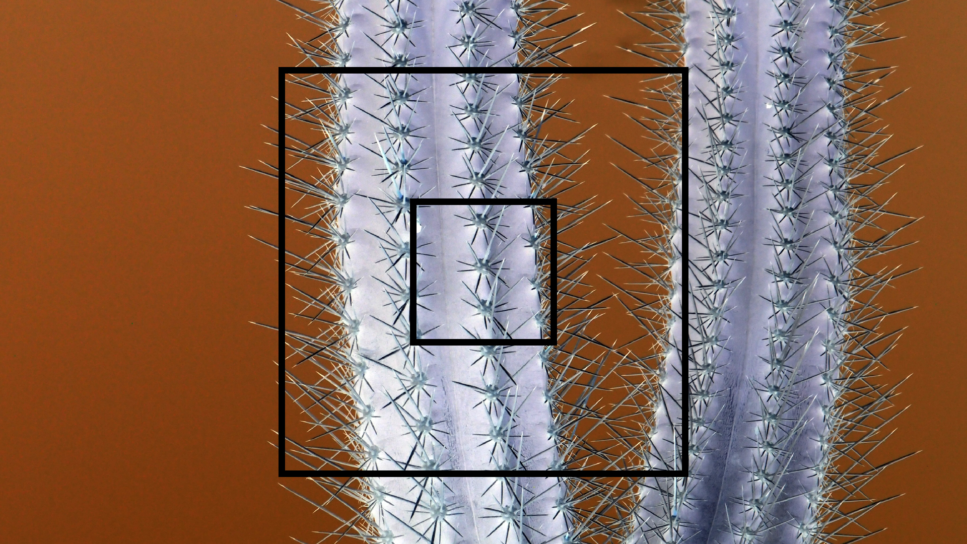 2022-04-14 Shete Boka Nationalpark (Foto)