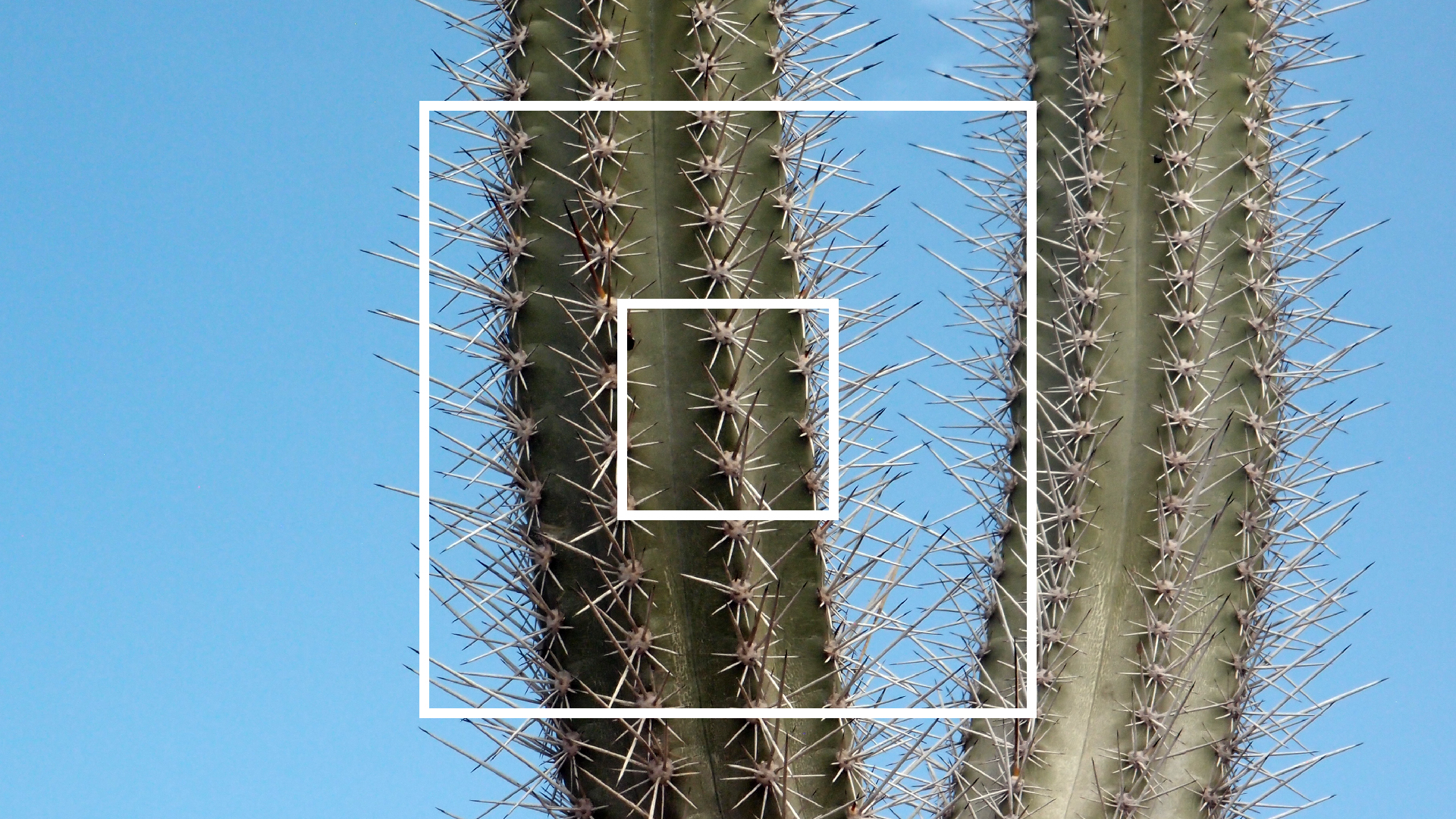 2022-04-14 Shete Boka Nationalpark (Foto)