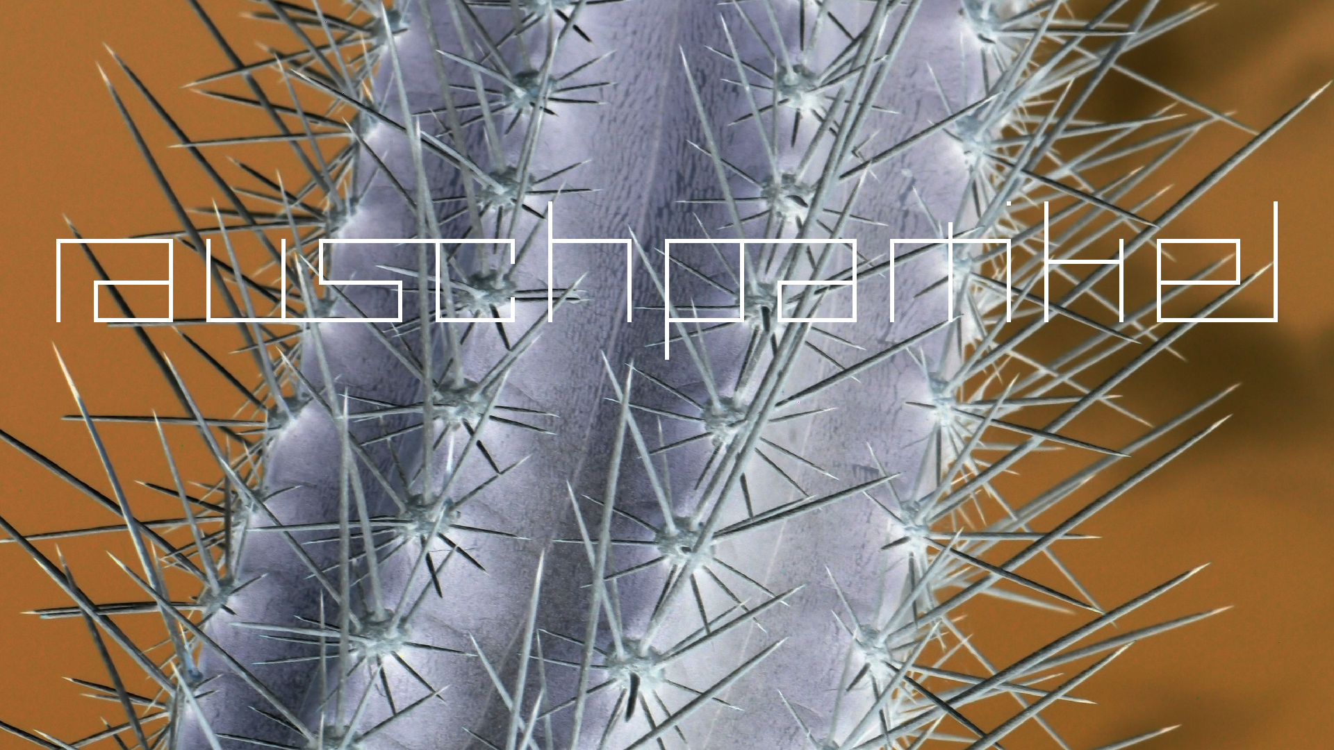 2022-04-14 Shete Boka Nationalpark (Foto)