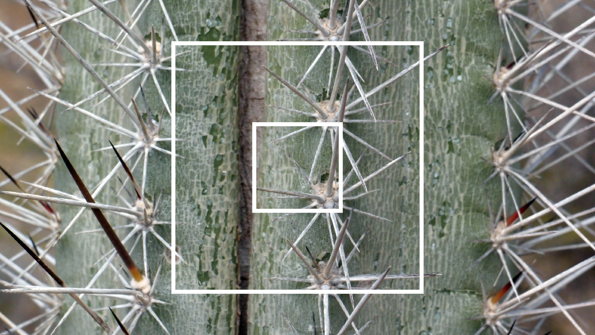 2022-04-14 Shete Boka Nationalpark (Foto)