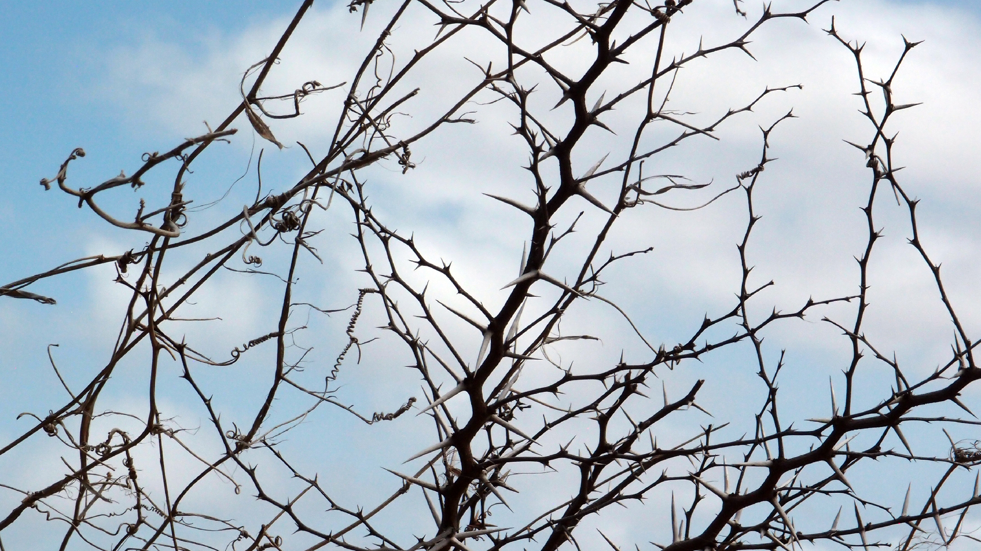 2022-04-14 Shete Boka Nationalpark (Foto)