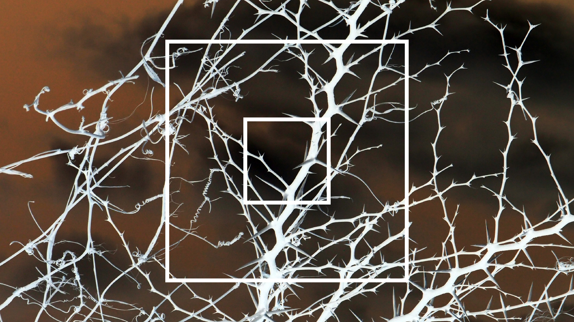 2022-04-14 Shete Boka Nationalpark (Foto)