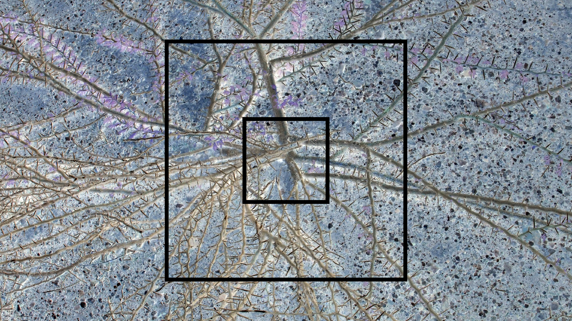 2022-04-14 Shete Boka Nationalpark (Foto)