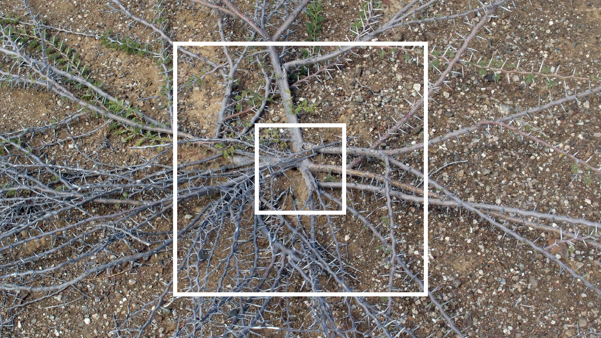 2022-04-14 Shete Boka Nationalpark (Foto)