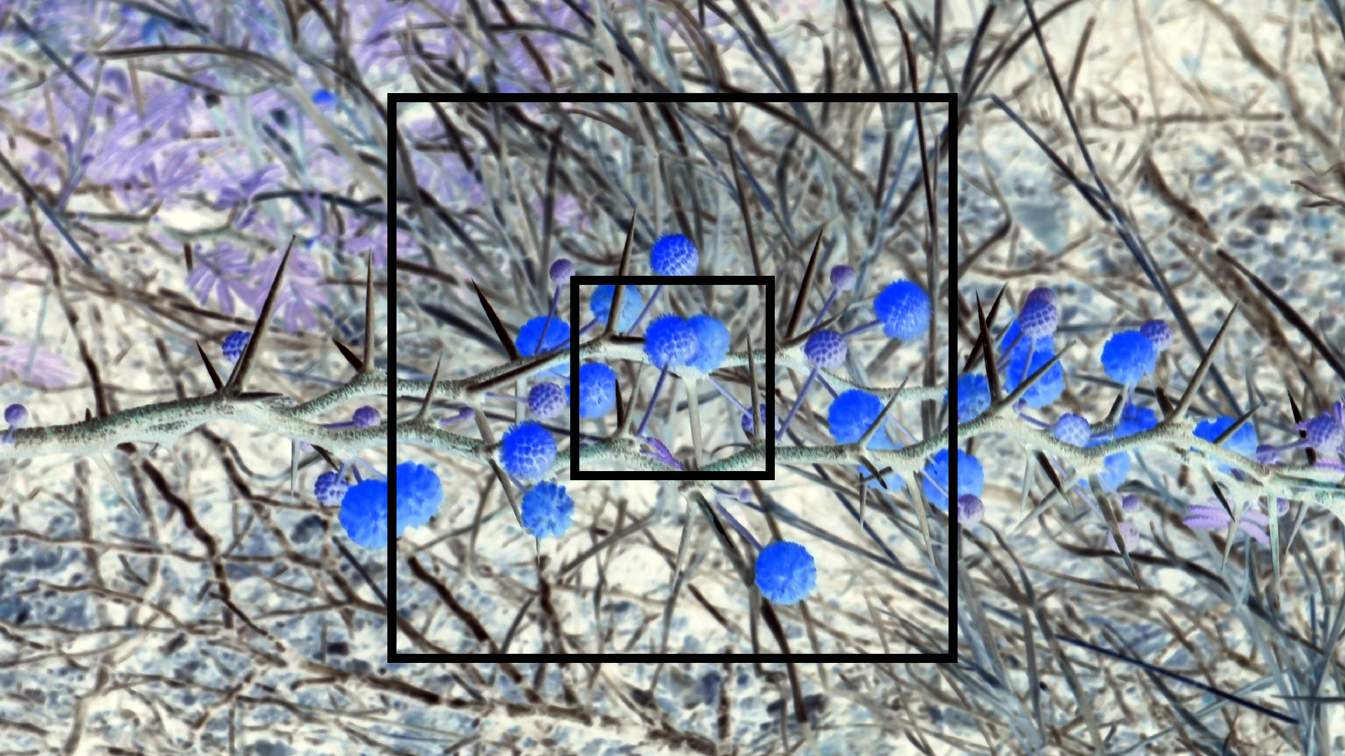 2022-04-14 Shete Boka Nationalpark (Foto)