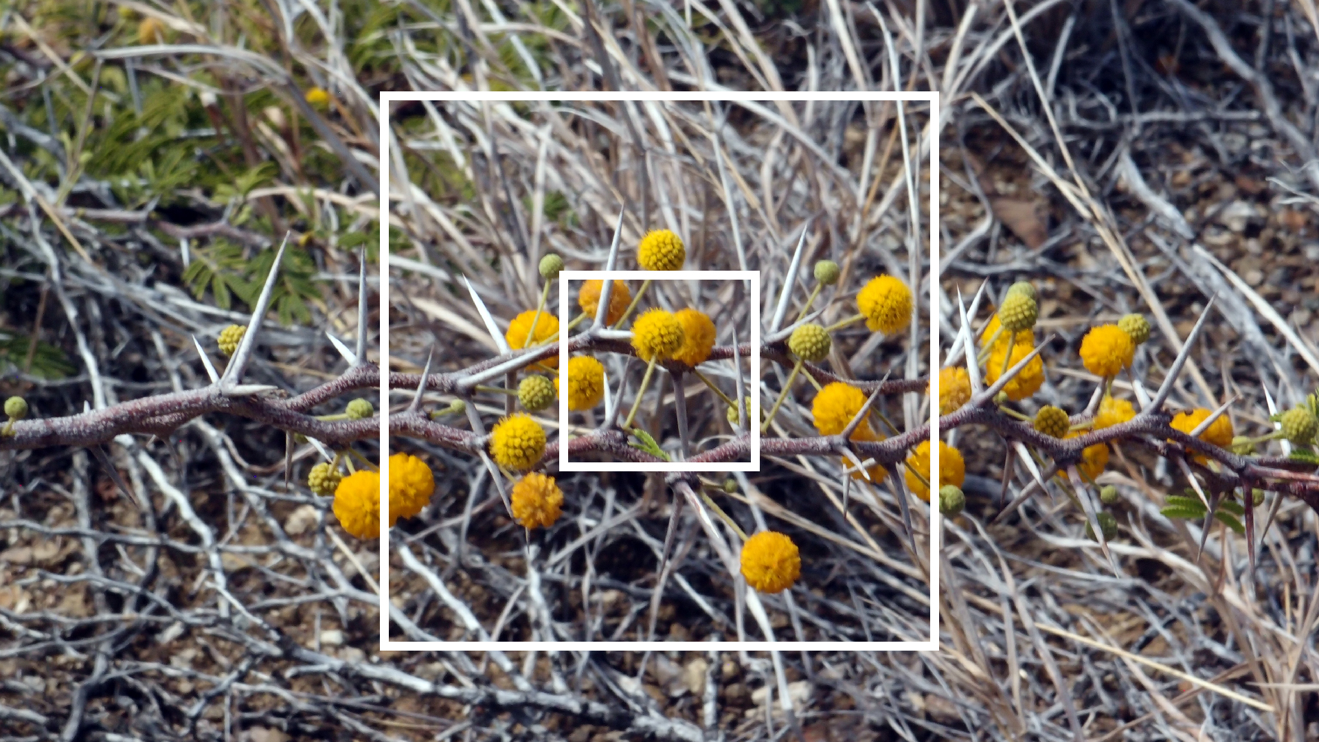 2022-04-14 Shete Boka Nationalpark (Foto)