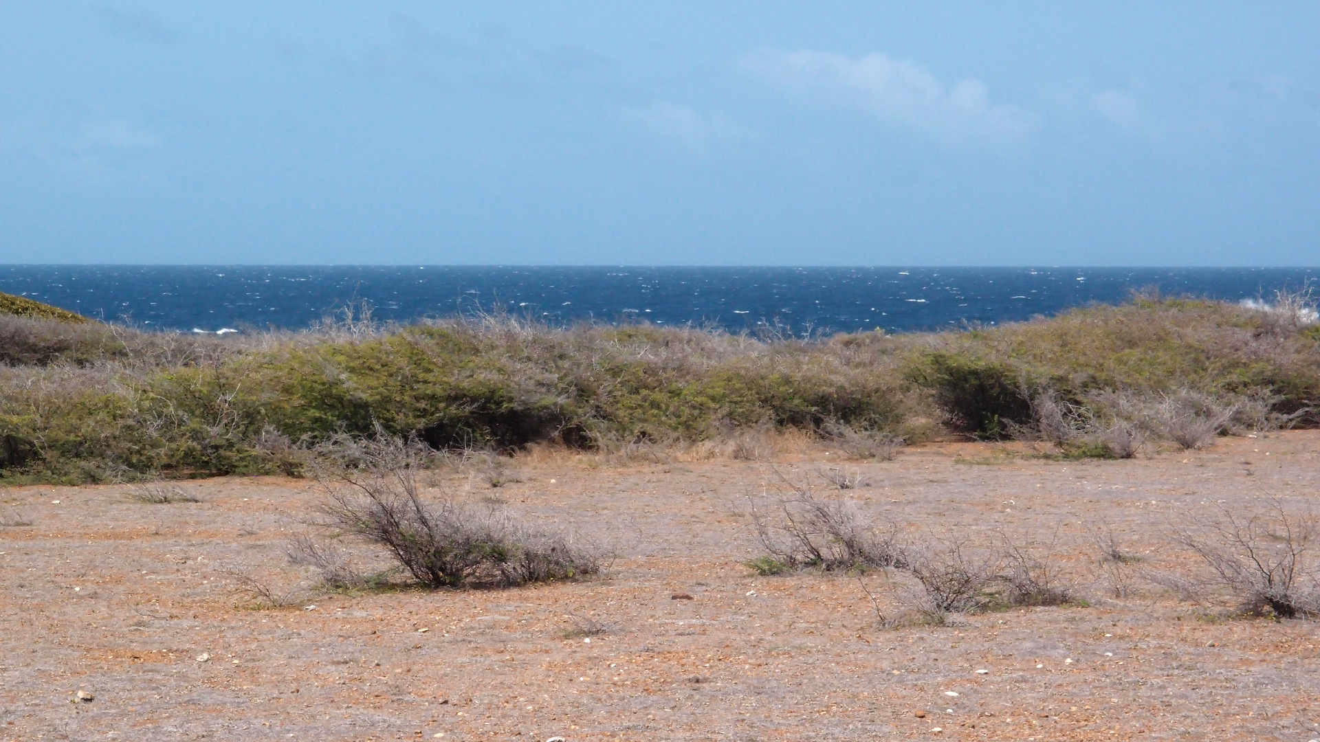2022-04-14 Shete Boka Nationalpark (Foto)